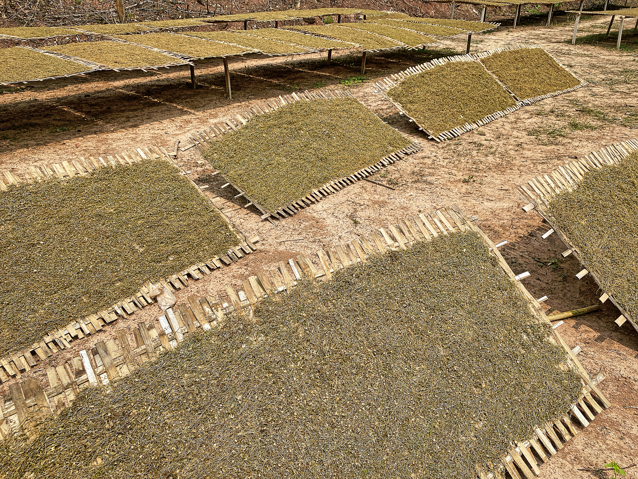 贵州烟草技术及管理专业职校推荐 - 培养烟草人才，助力产业发展