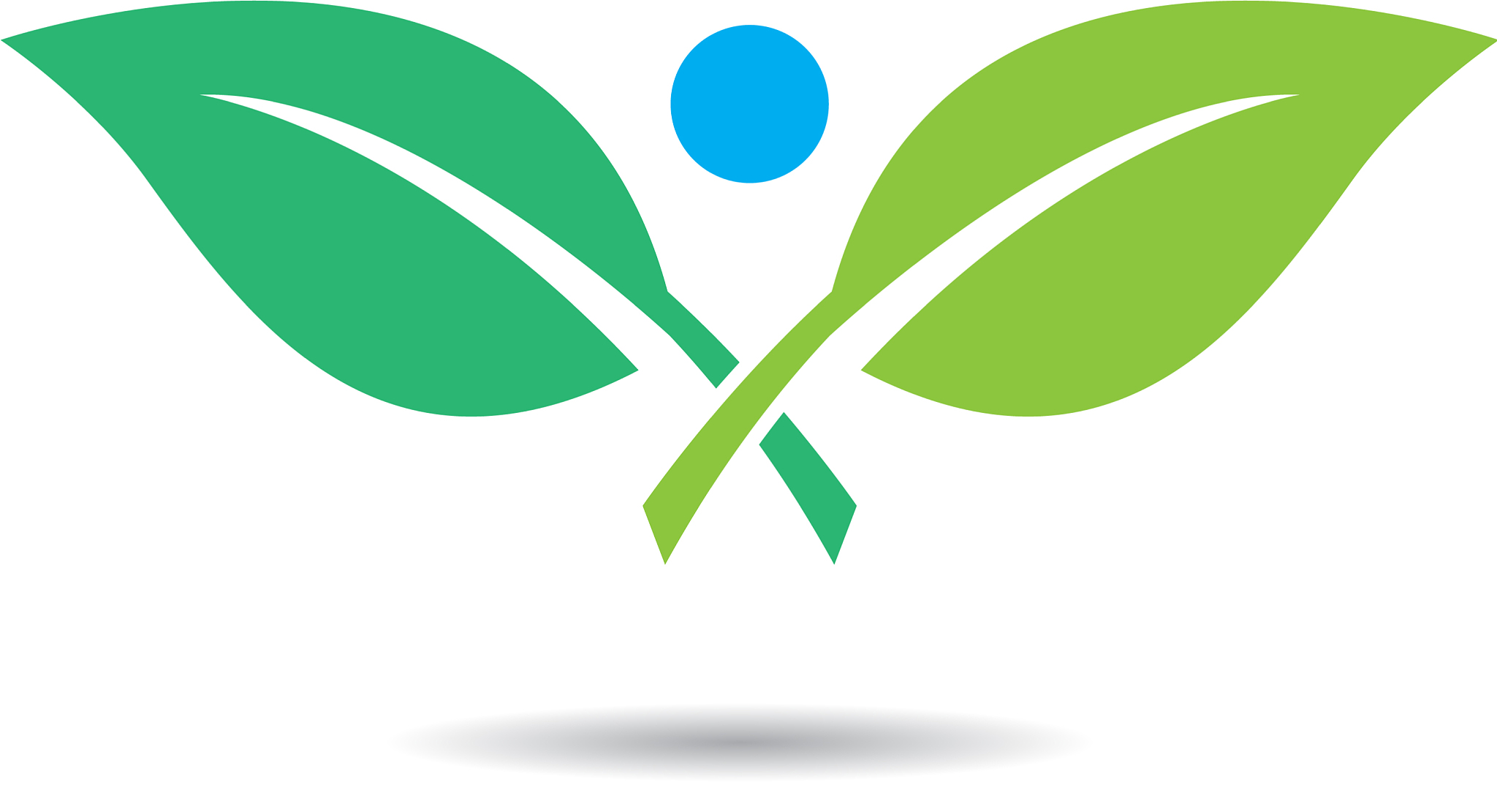 health icon design