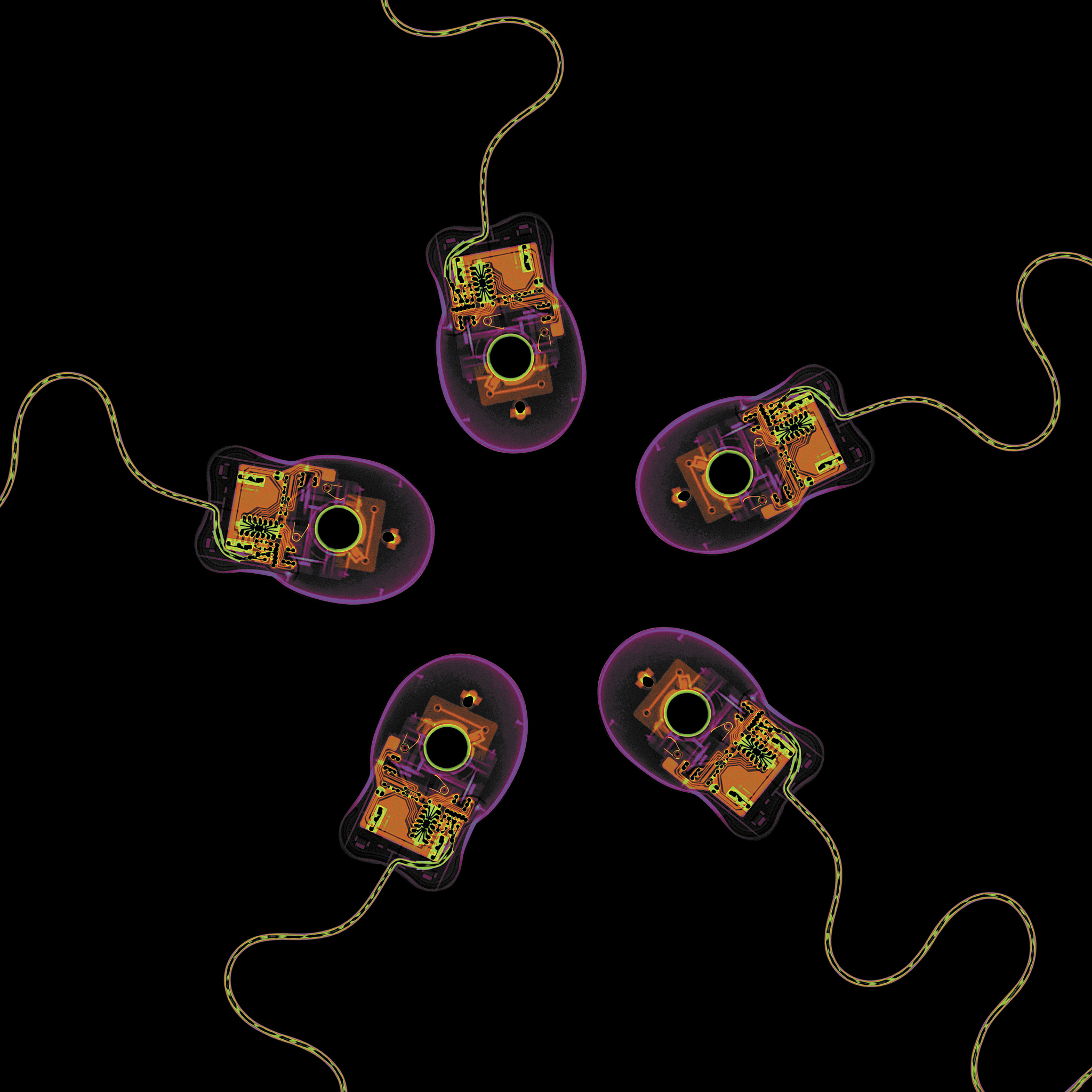 内吞体指挥官复合物结构模型揭示X连锁智力障碍和Ritscher-Schinzel综合征的分子机制