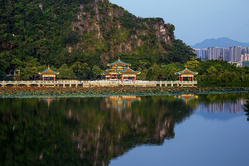 肇庆市农业学校地址在哪里-怎么去
