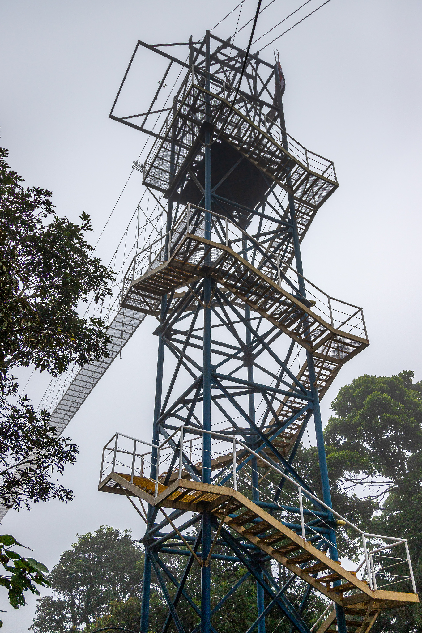 水资源评审工程师：职责、技能和职业发展