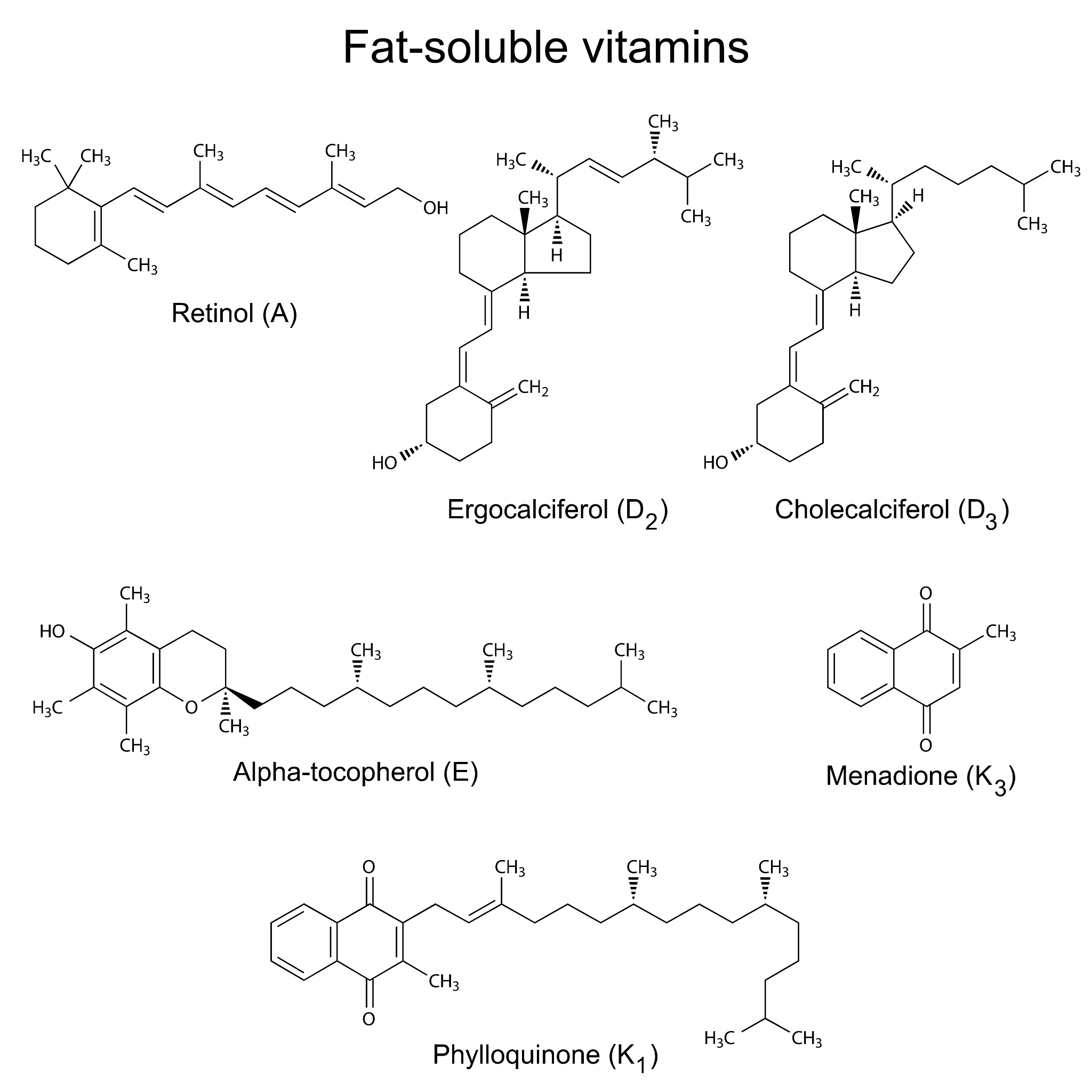 AAV8样品中杂质的来源及表征