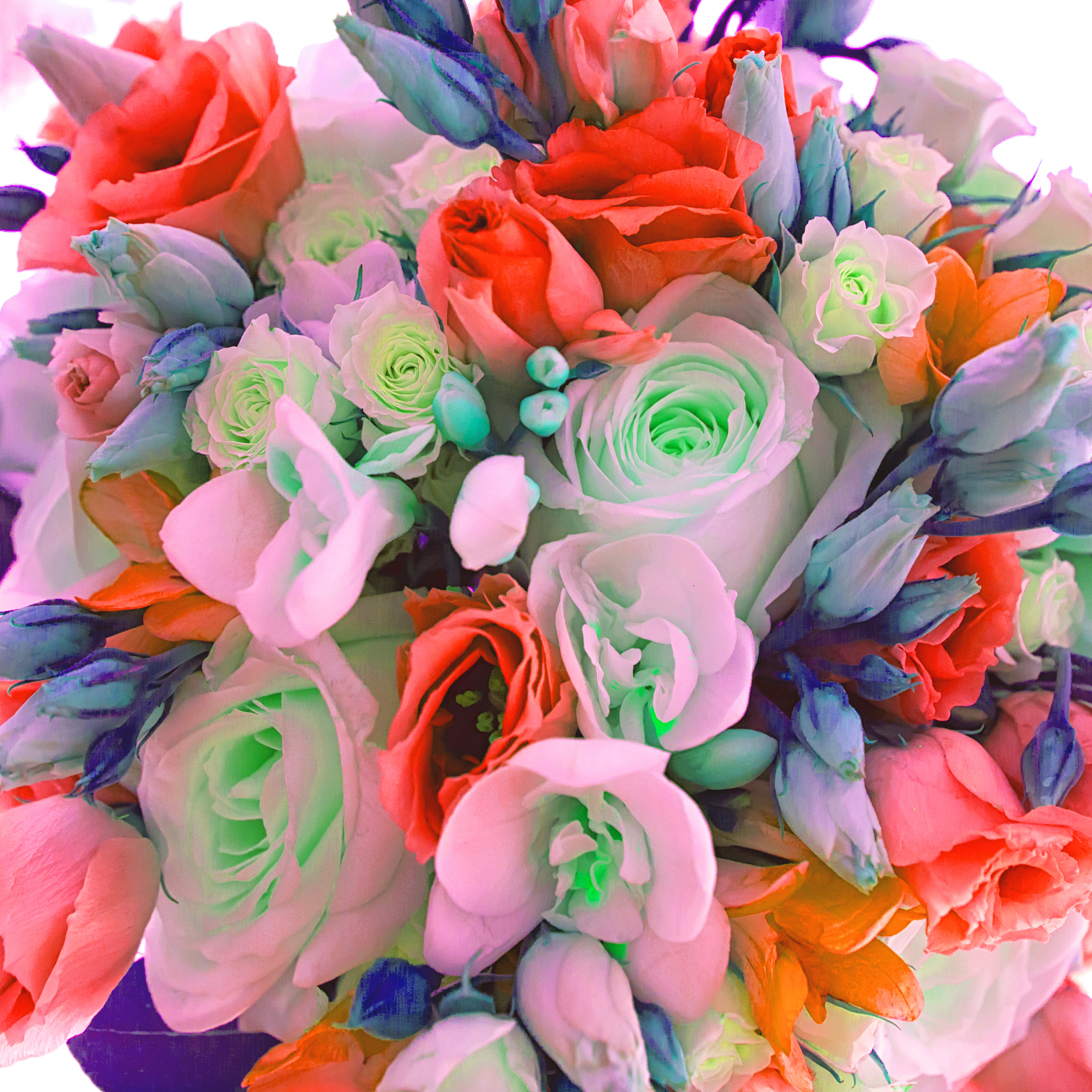 花，是衣服的点缀，让人更加美丽动人