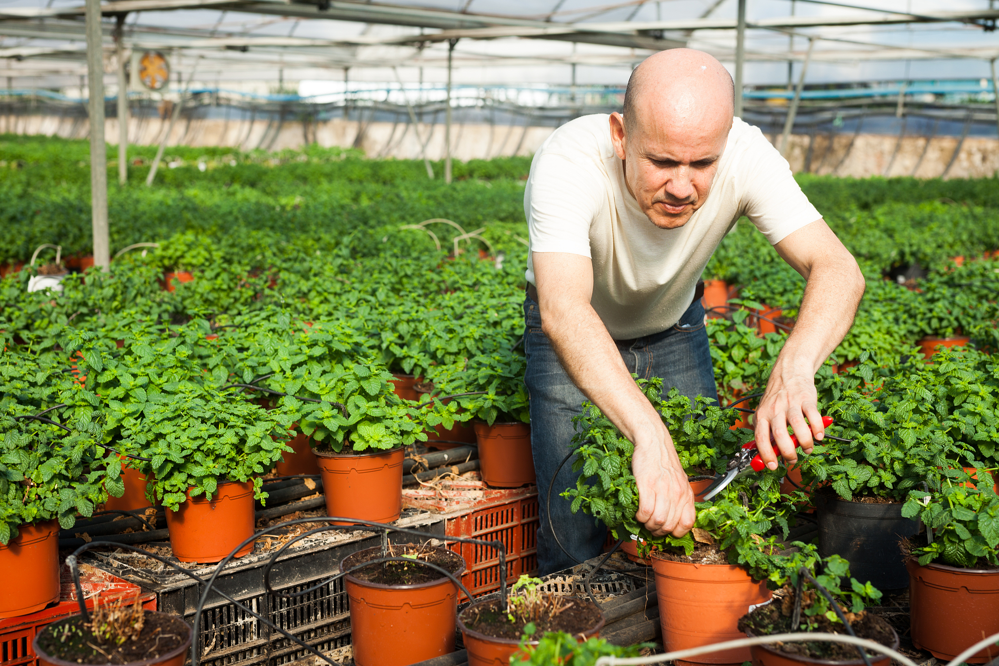 辽宁农业职业技术学院园艺技术专业怎么样？2021年专业评测