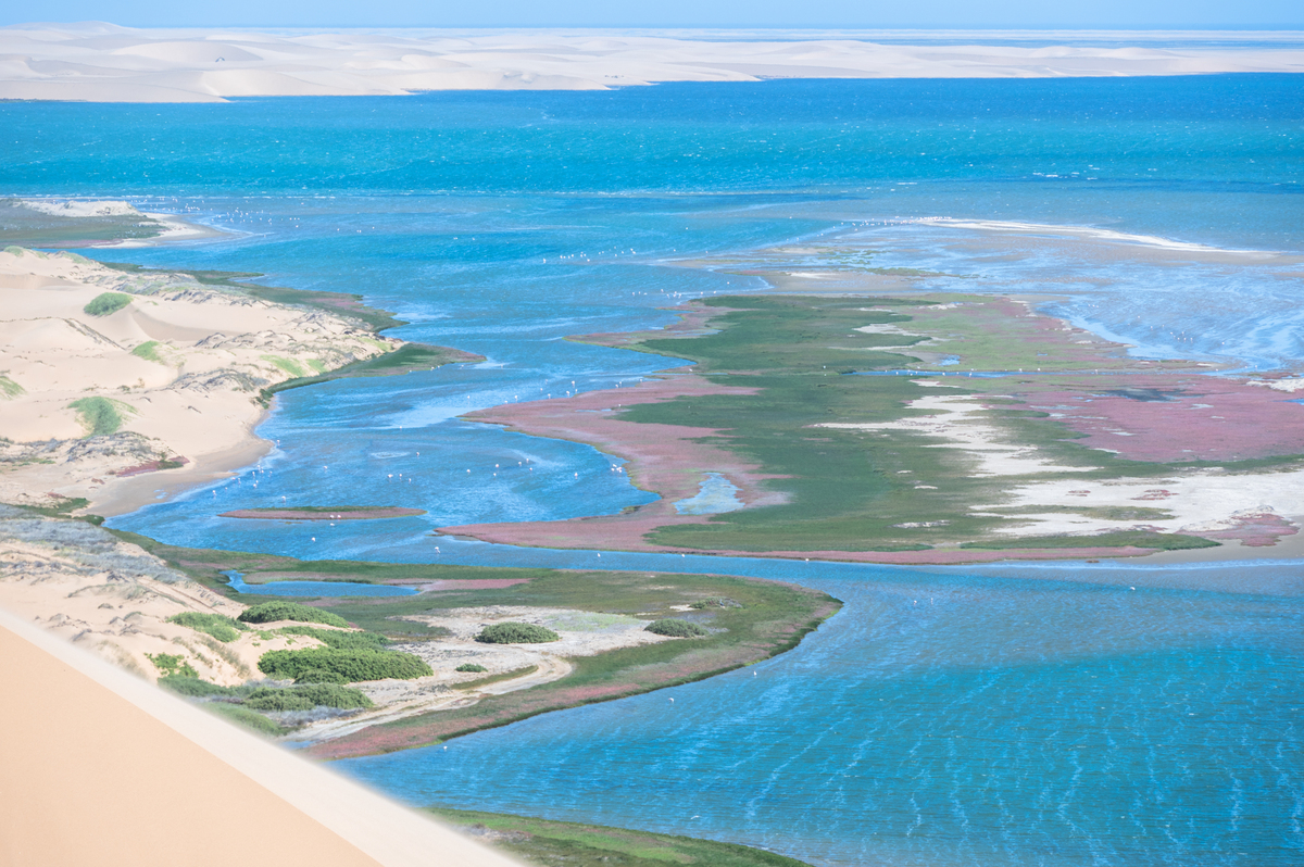 探索河口与海岸生态系统：Estuaries and Coasts 期刊