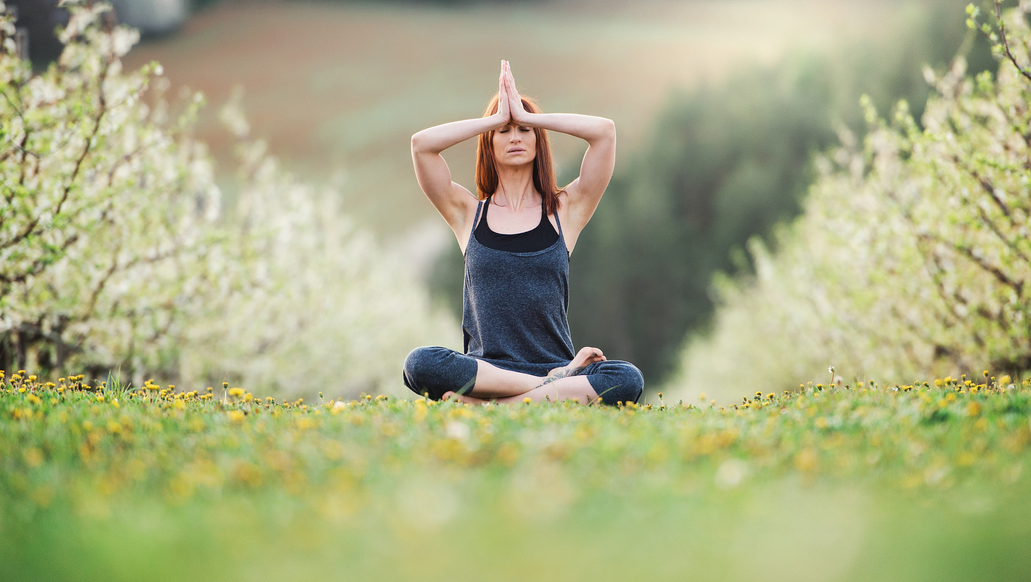 请650字博客文章主题是：累了怎么办