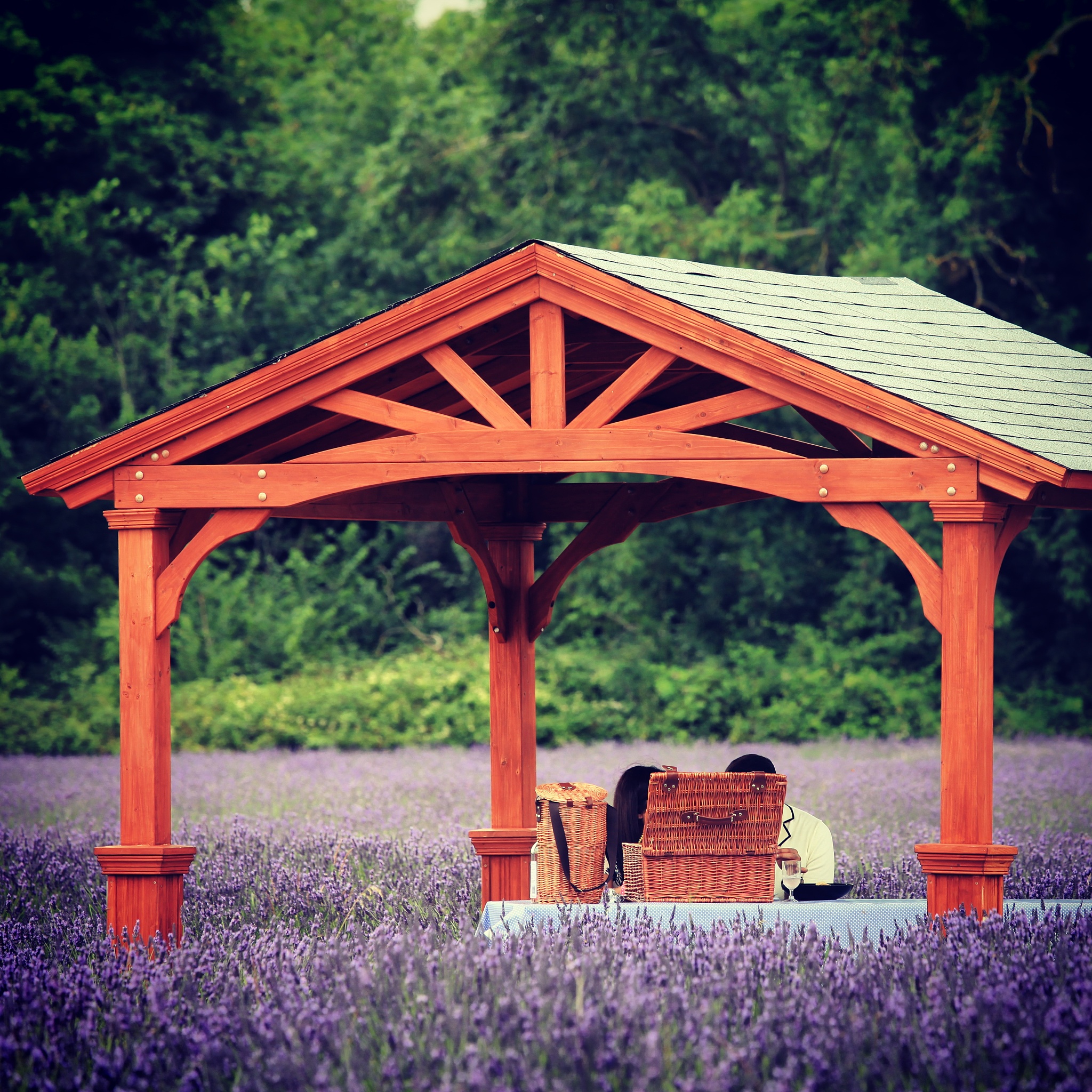 院子里的电动凉亭