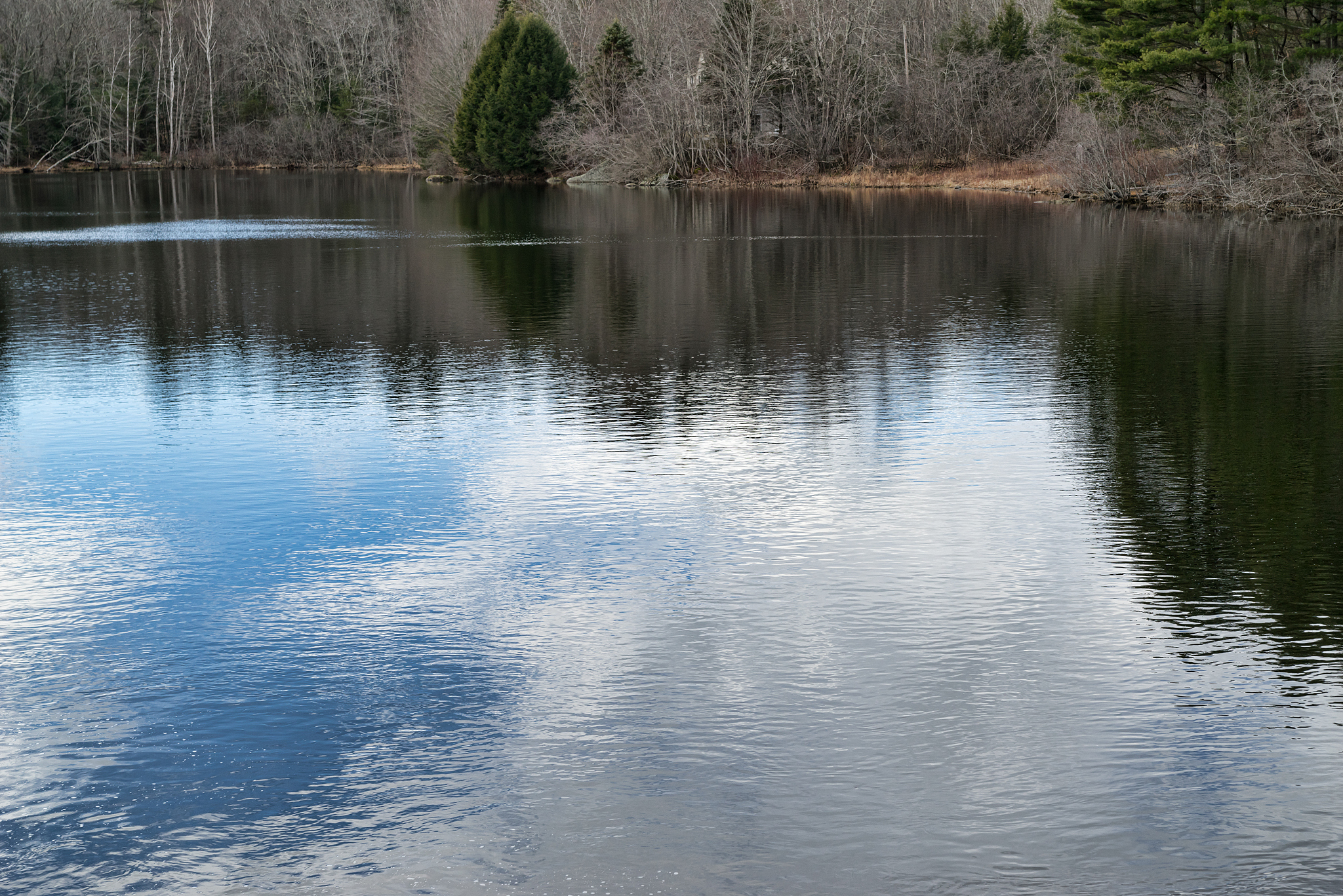 rippling water with sky and trees reflected on lake