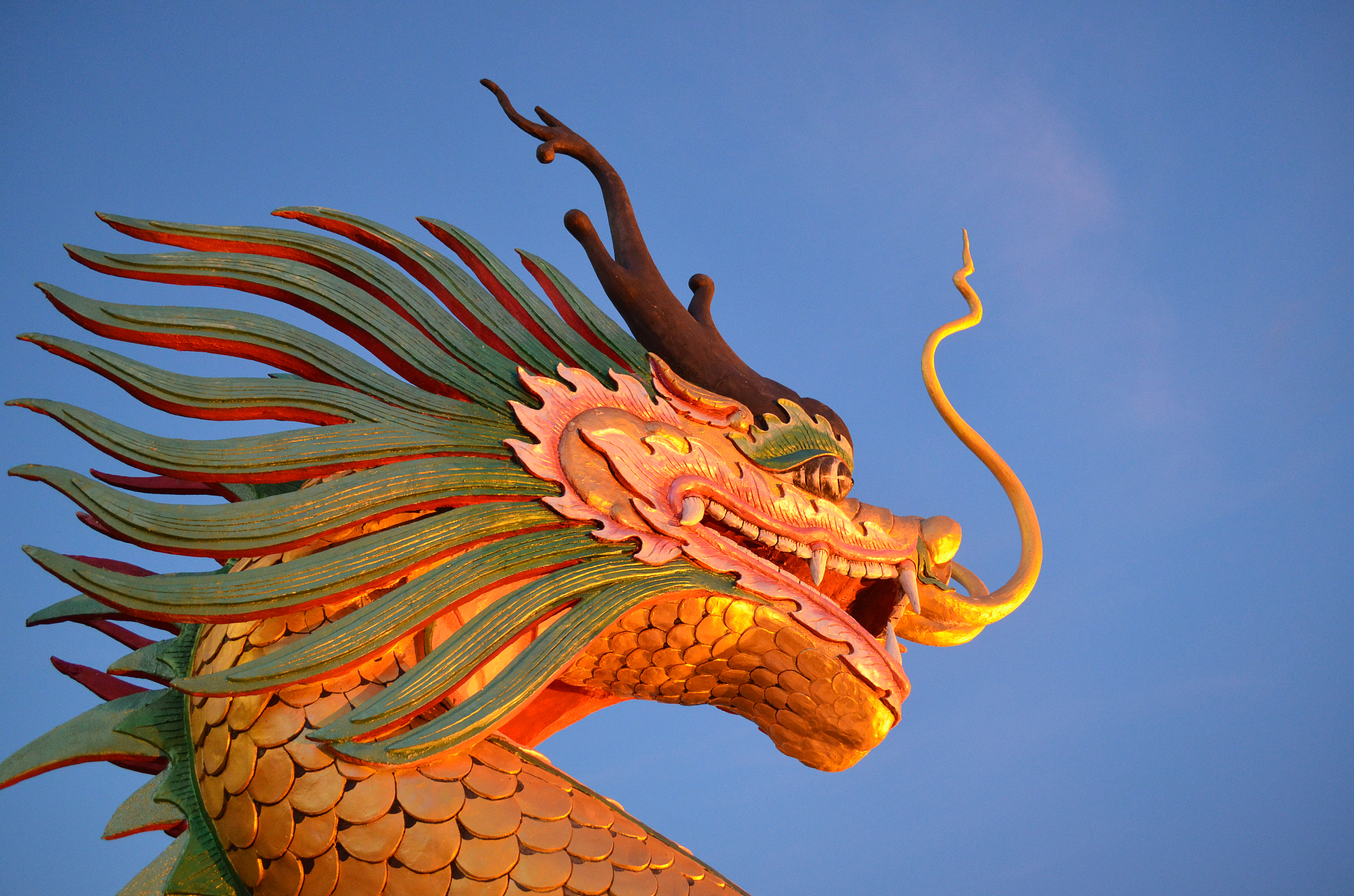 dragon