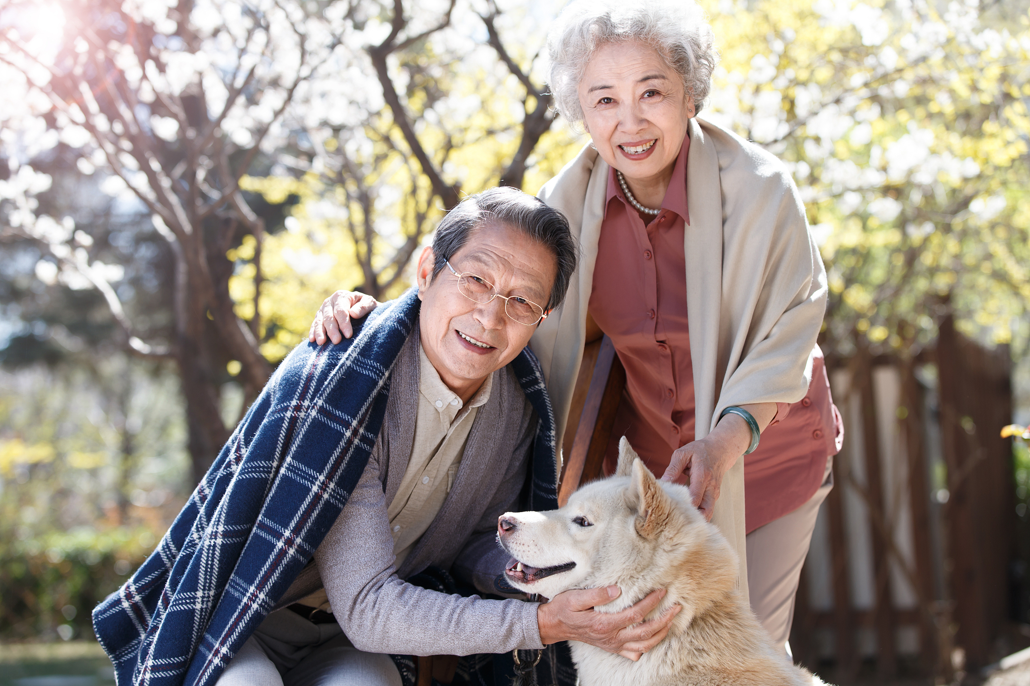 宠物伴侣：孤独老人的温暖陪伴