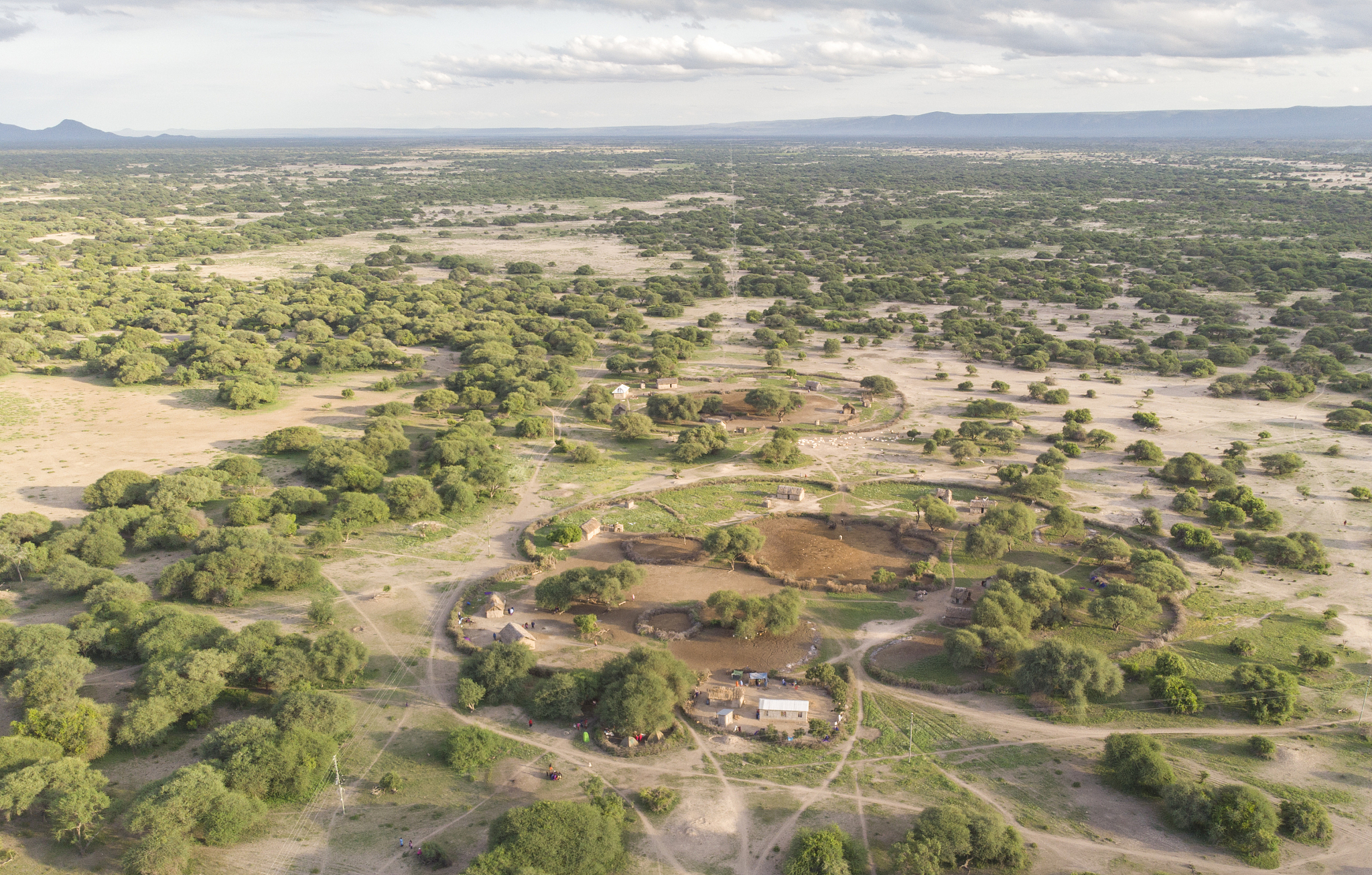 aerial view of maasai boma