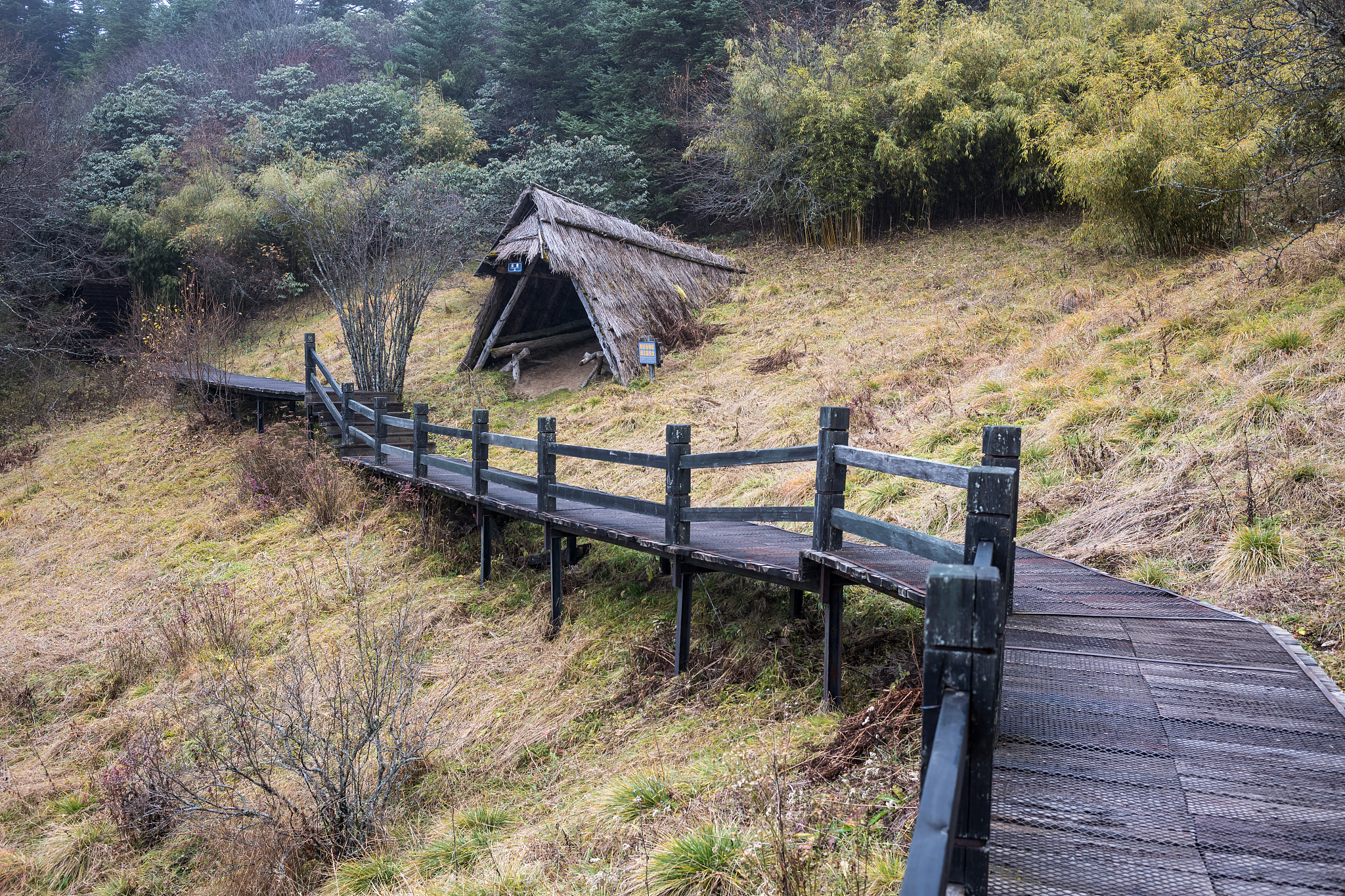 Shennongjia English guide wordsShennongjia Scenic Area Today we will visit Shennongjia Scenic Area which is known as the central China ridge the green pearl Shennongjia is located in the Yangtze river