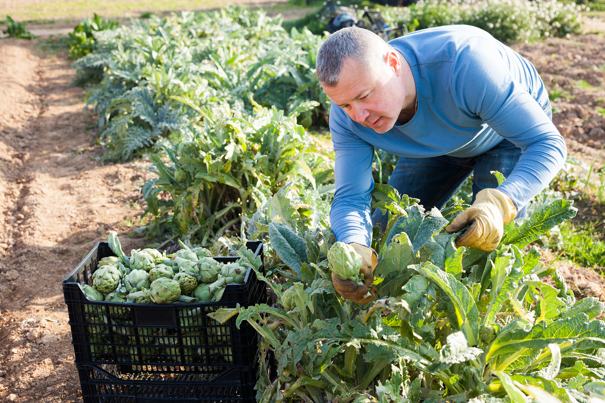 辽宁大学朝鲜语专业怎么样？就业前景分析