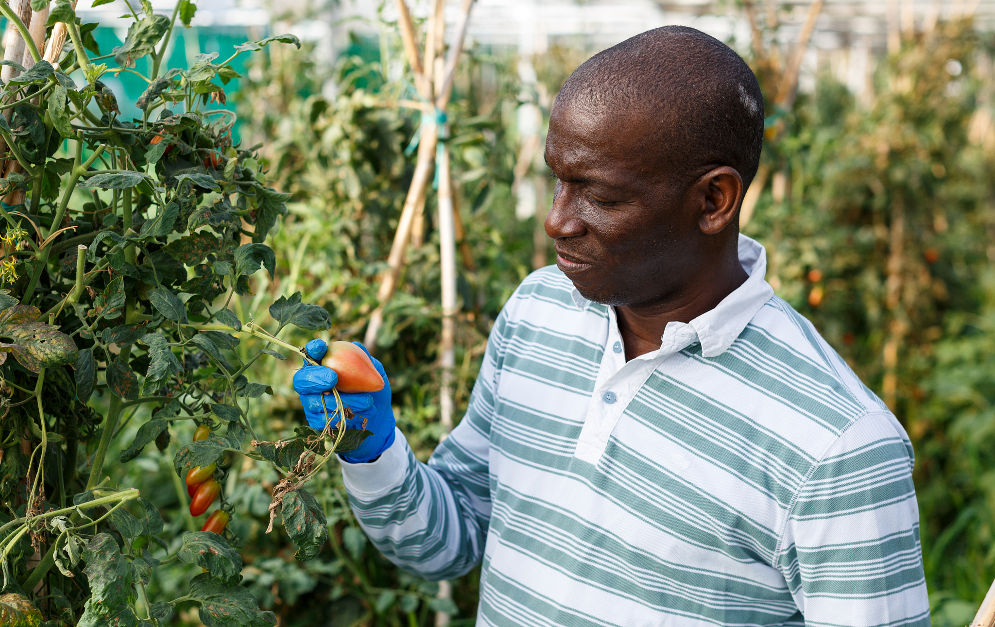 辽宁农业职业技术学院单招有高铁乘务专业吗？