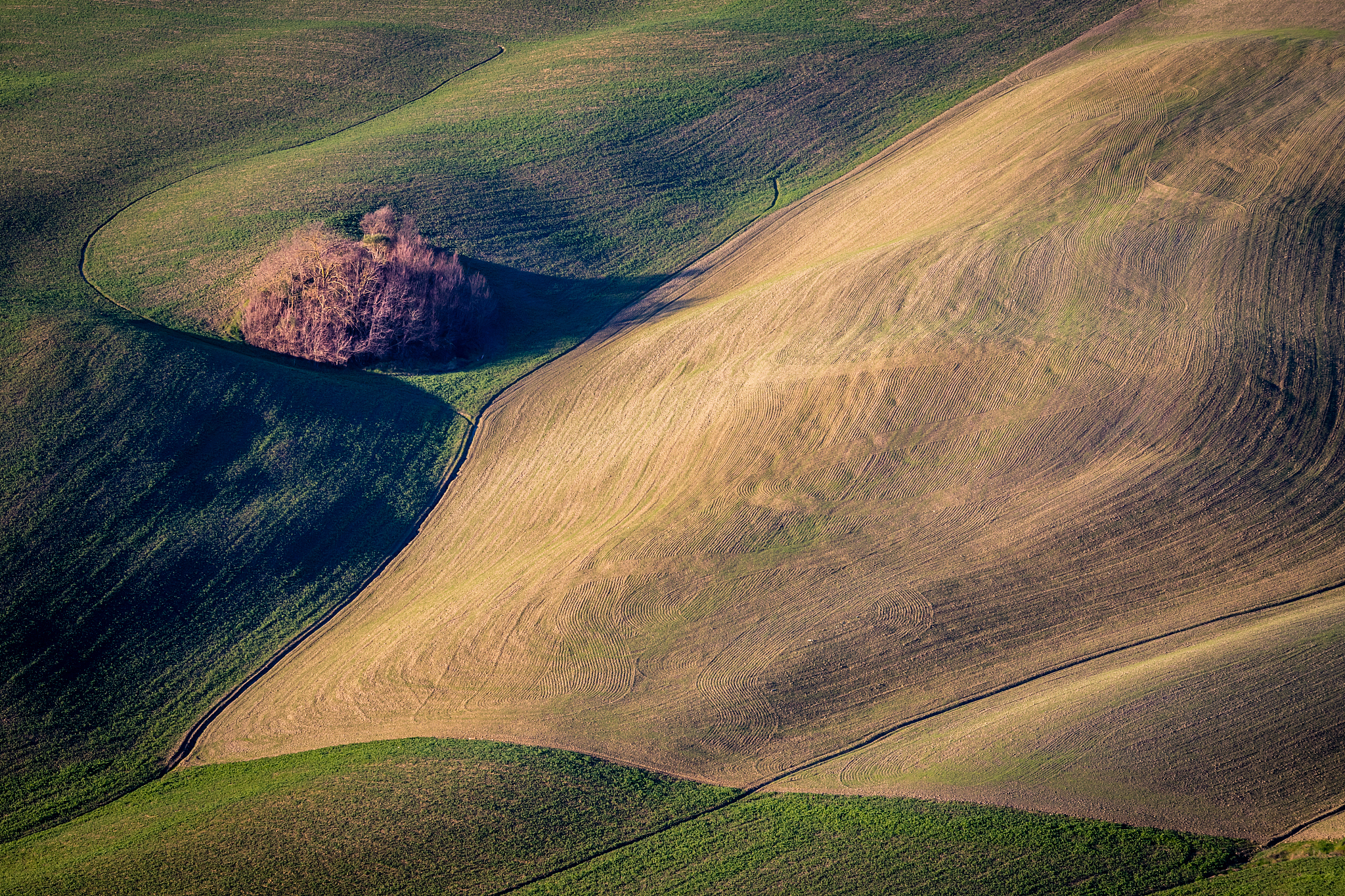 discover tuscany