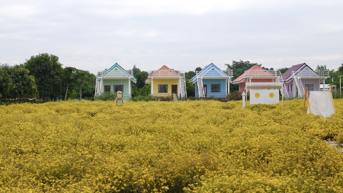芜湖大浦乡村世界：省内外游客的乡村旅游目的地