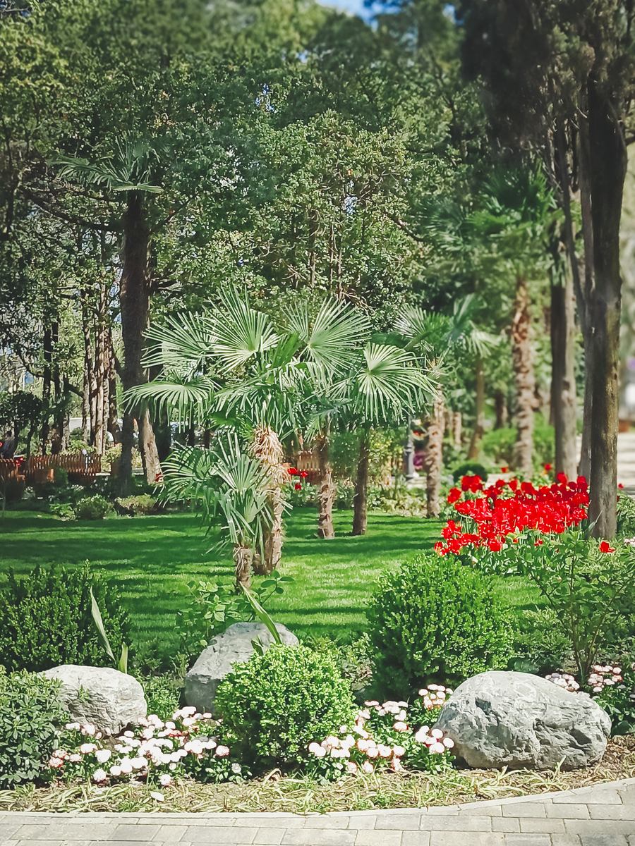 园林技术专业发展前景广阔，未来可期！