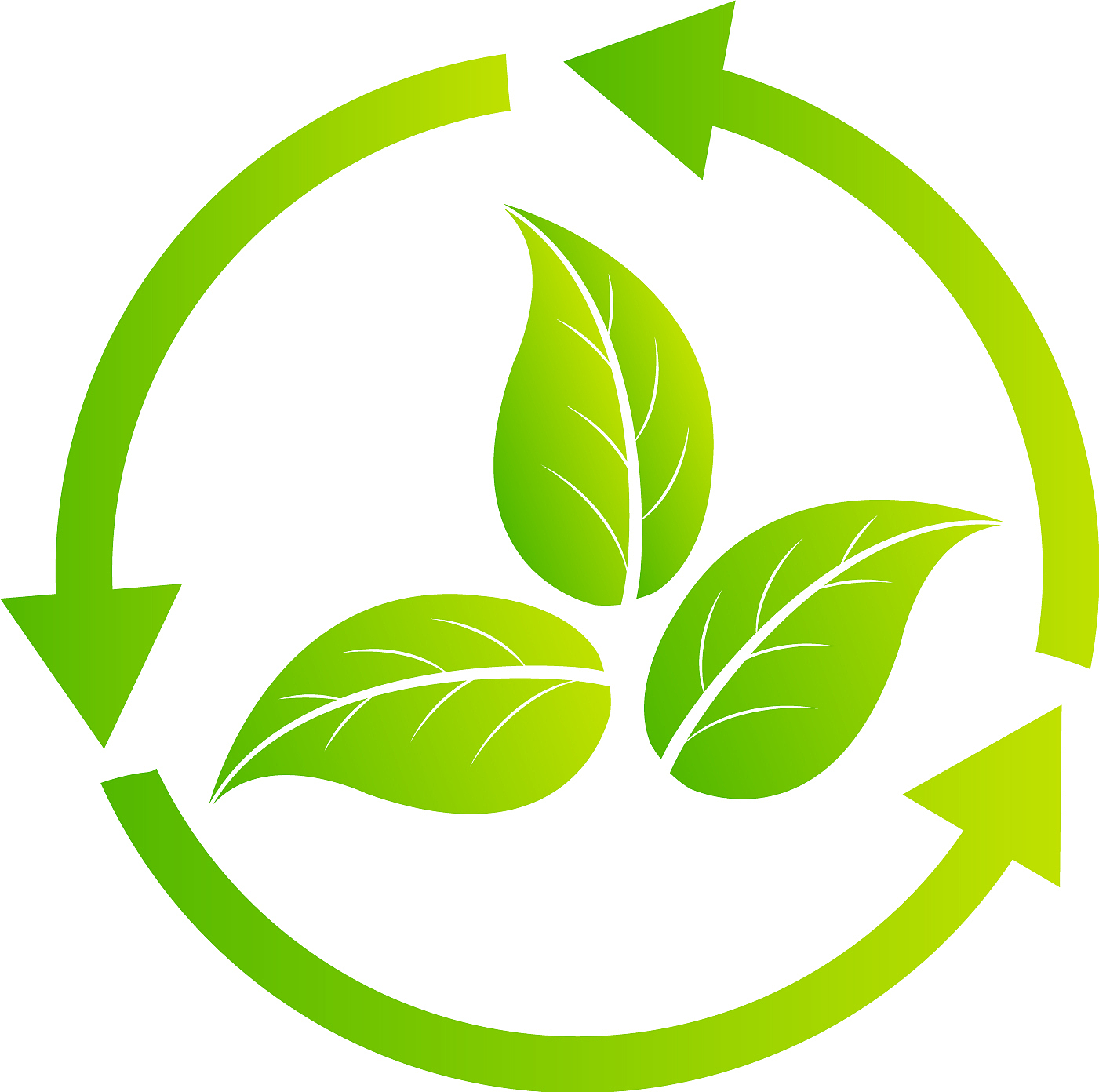bio energy
