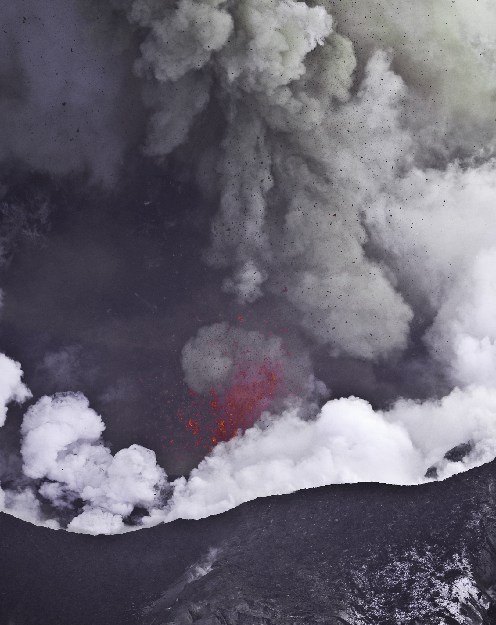 日本司机 资料网站