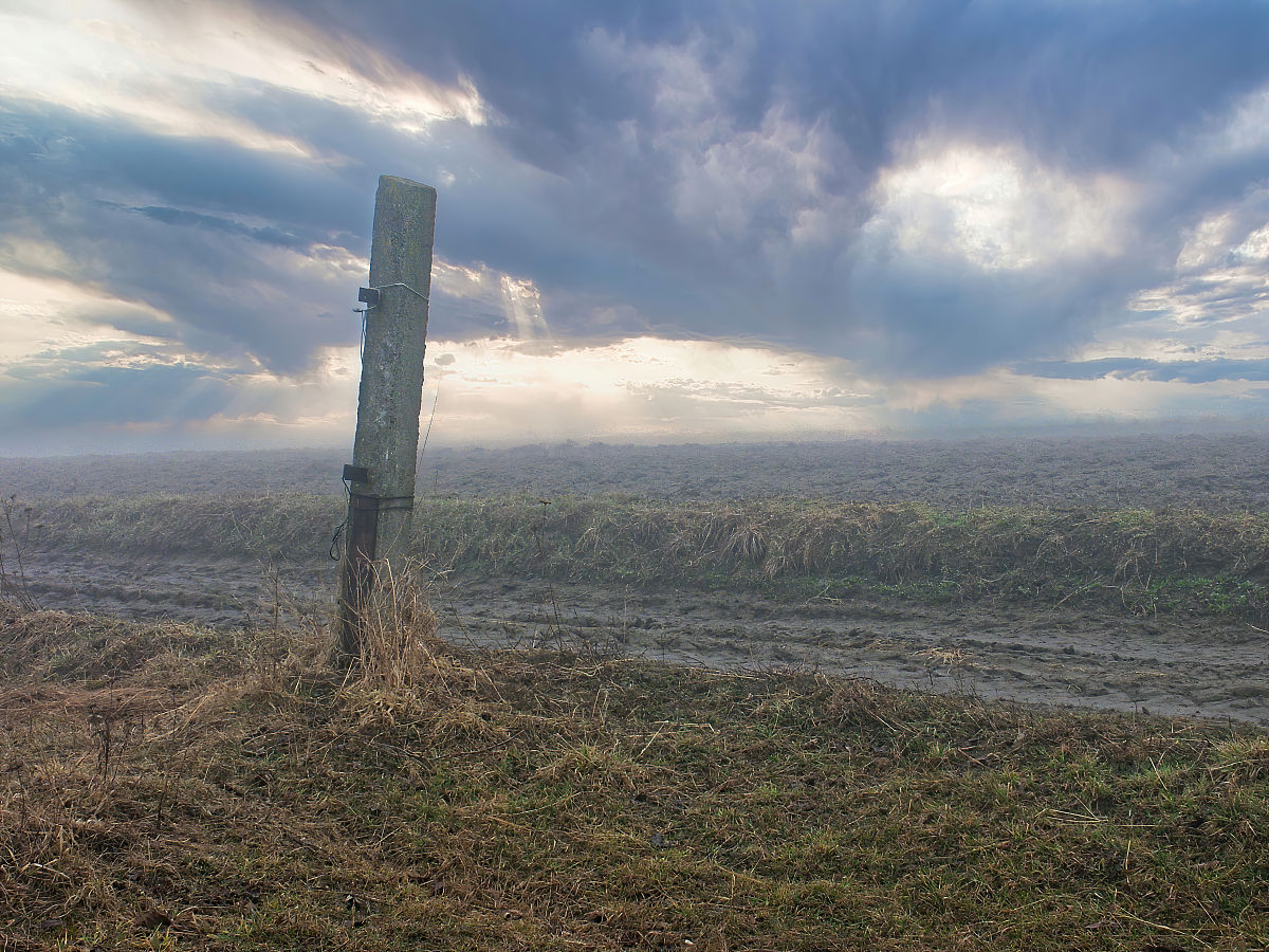 为什么从俄语专业转向学习波兰语专业