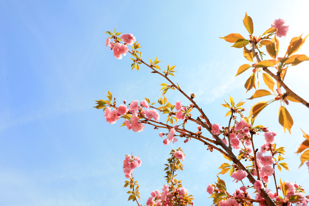 全国大部气温回升：不只是天气，更是生活态度的转变