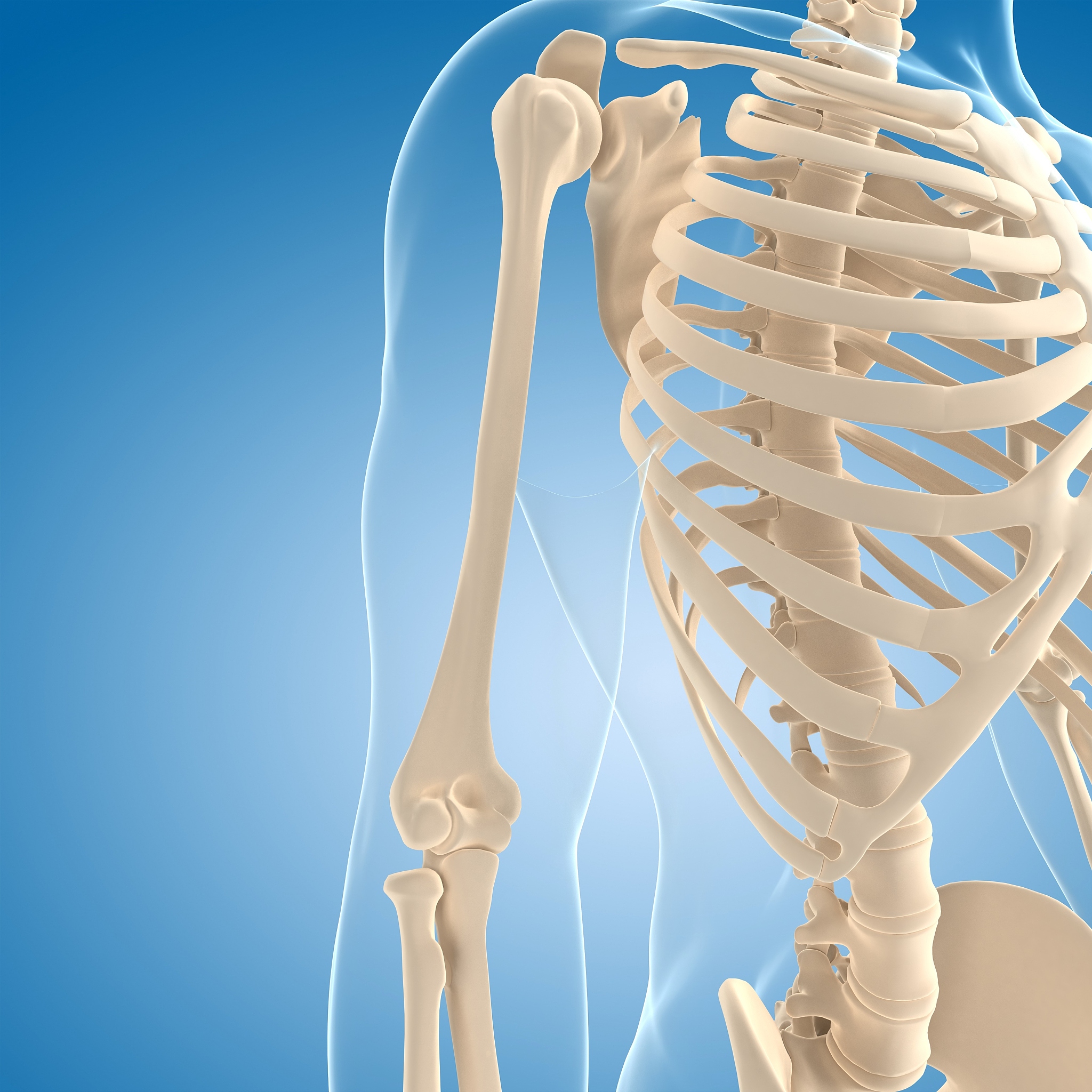 安顺中专学校有哪些专业？专业设置及未来发展方向