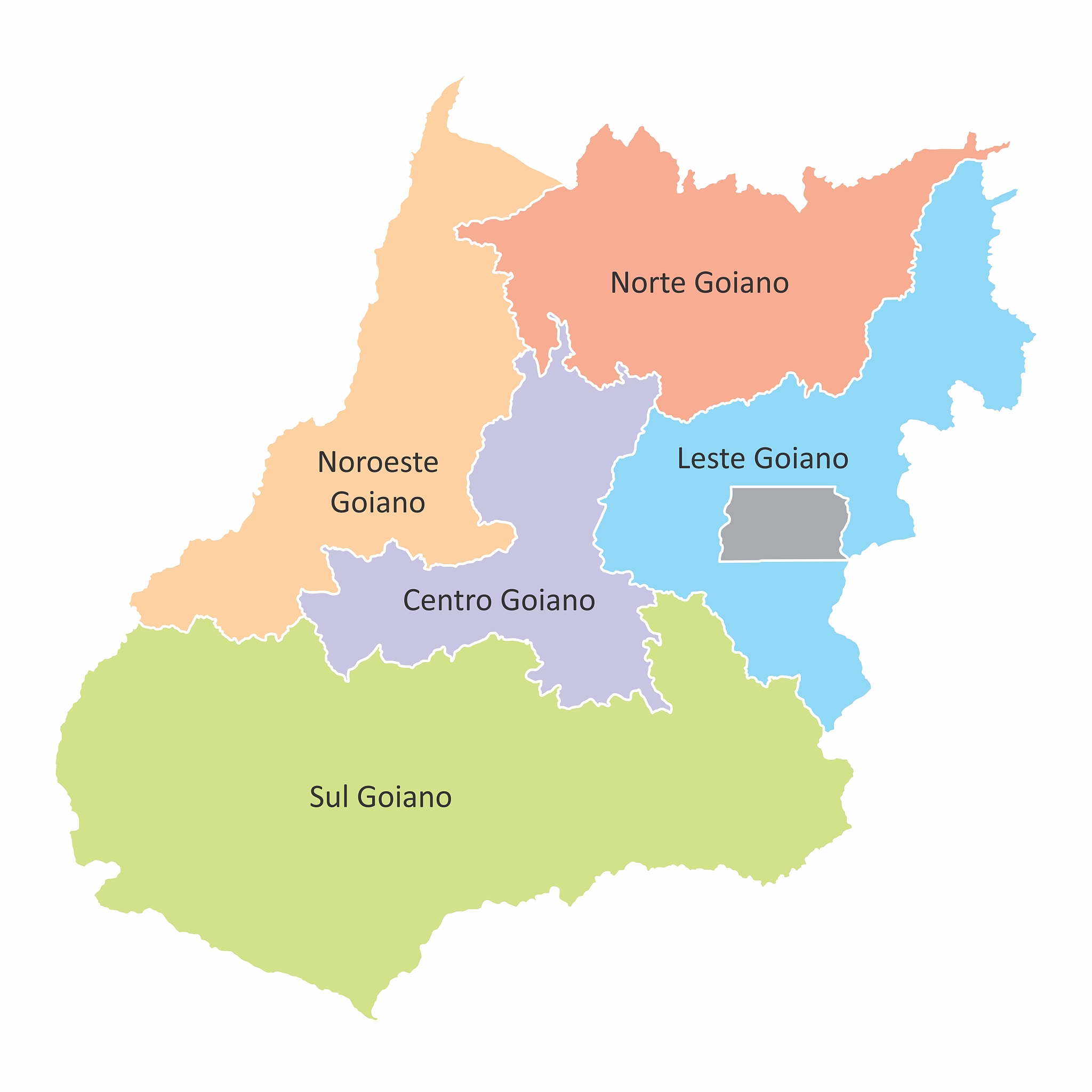 goias state regions