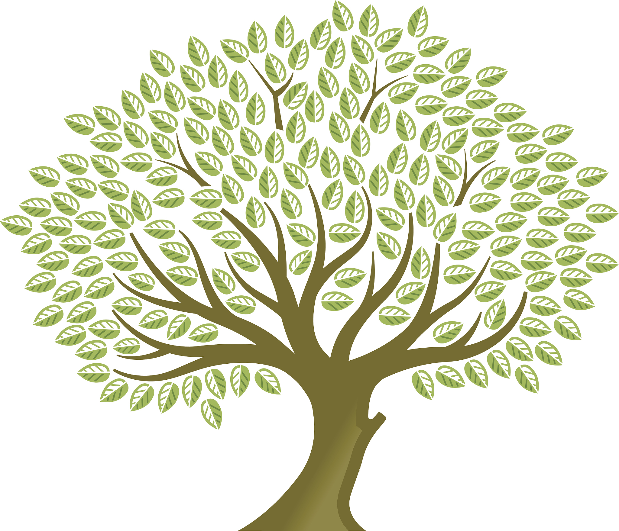 big tree