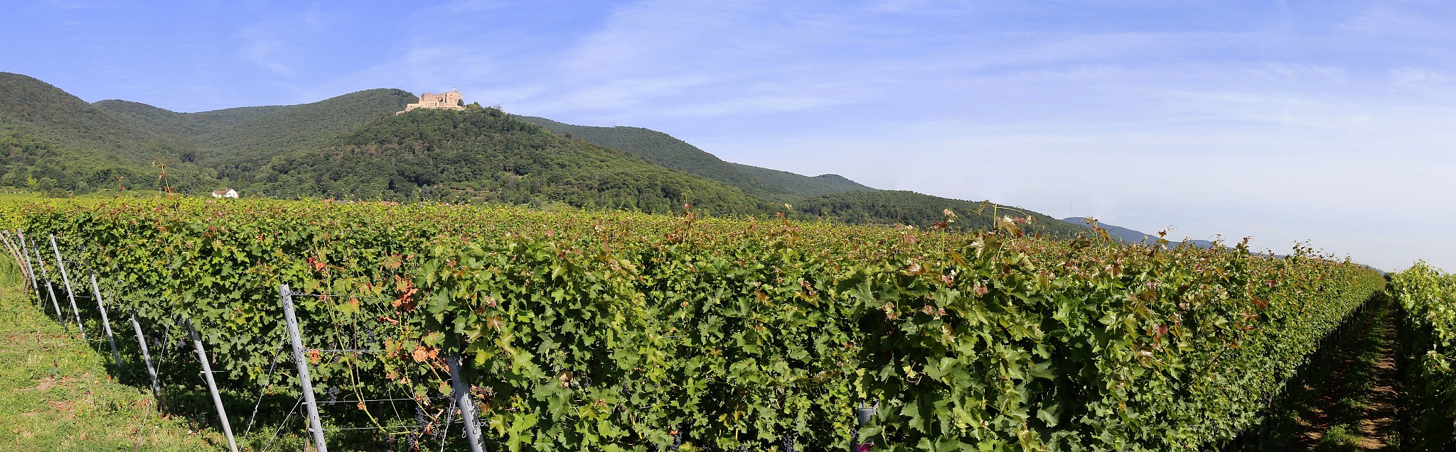 河北对外经贸职业学院应用德语专业课程设置详解