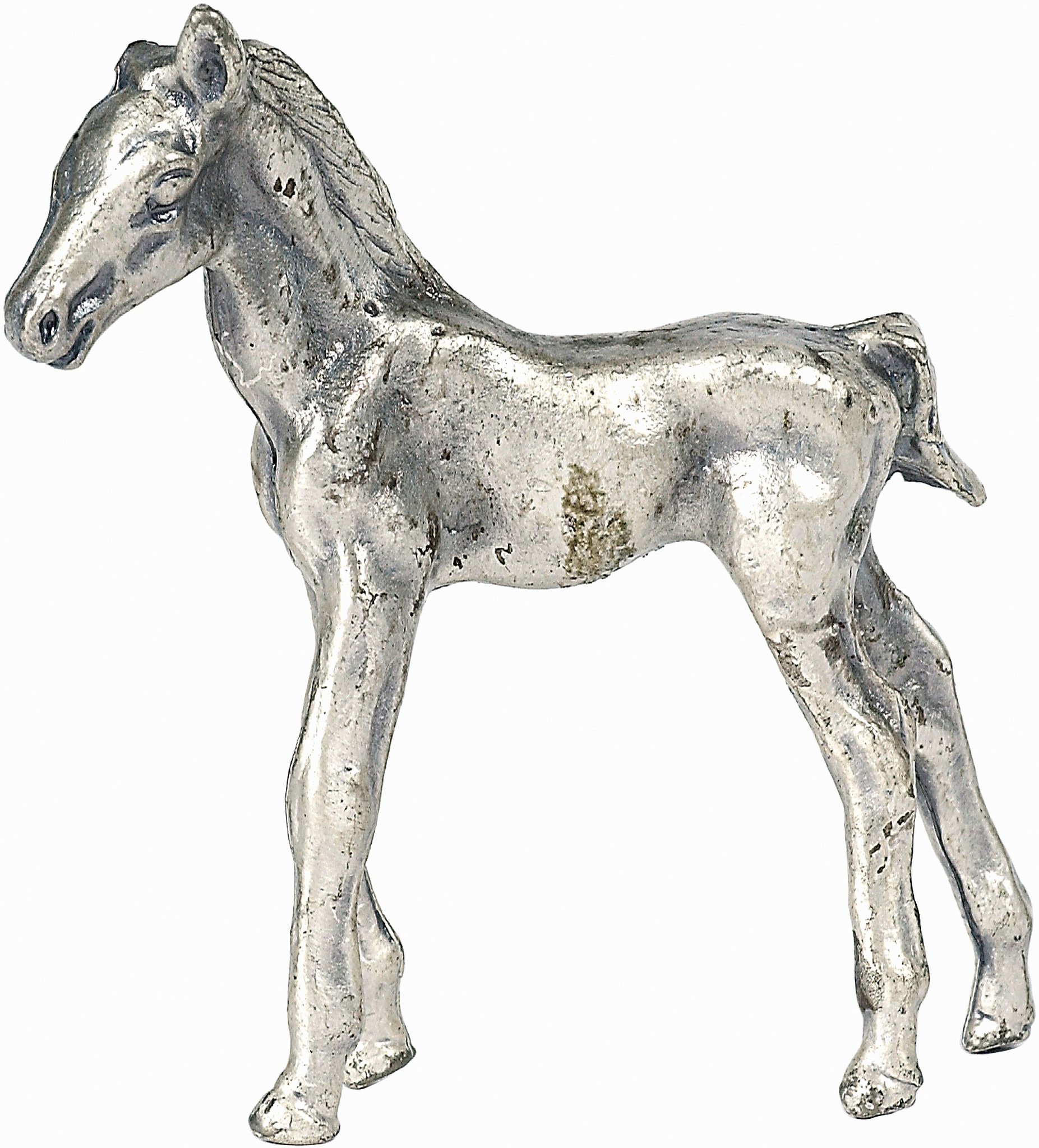 Horse Evolution: From Multi-Toed Ancestors to Modern Equines