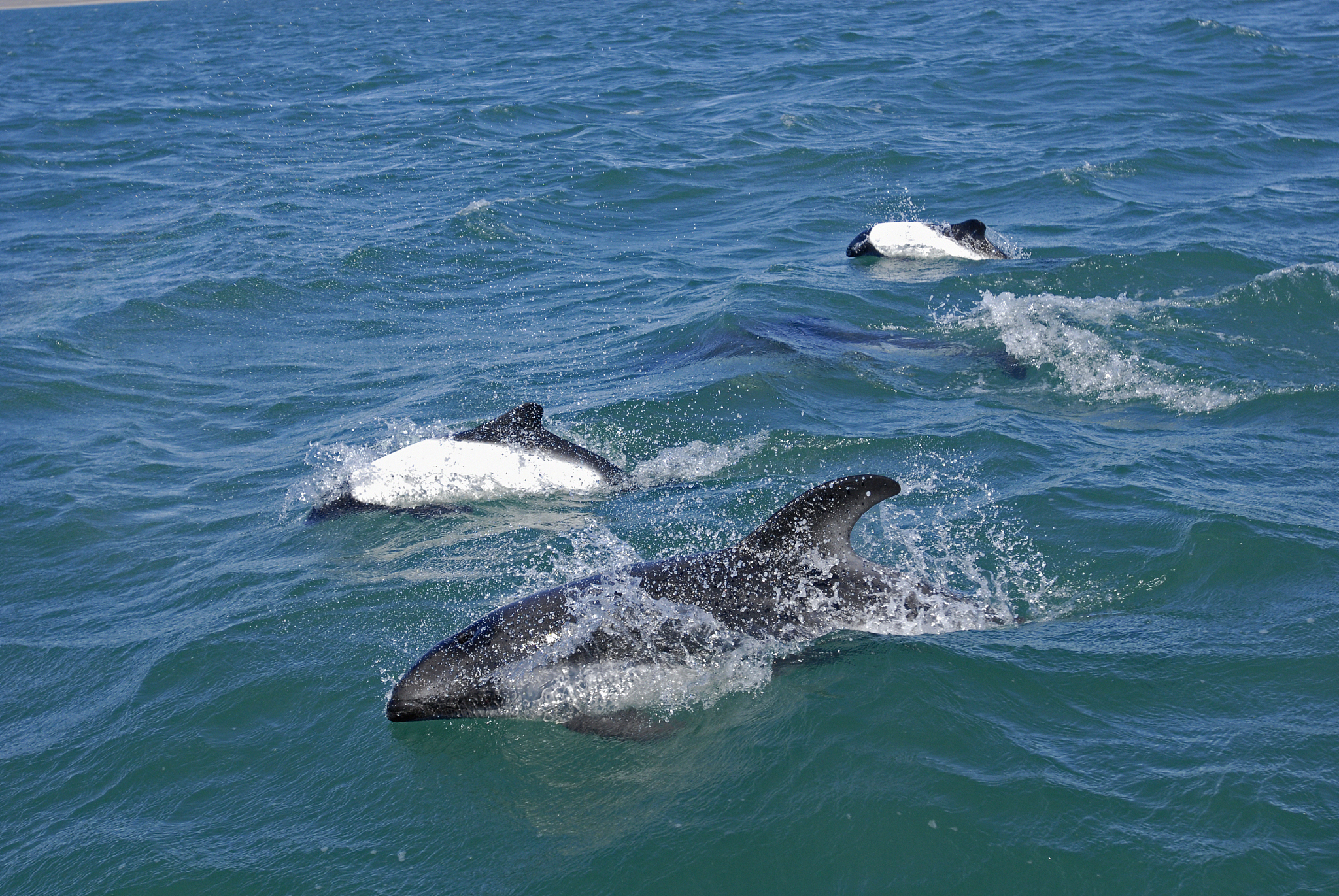 实习护士体检中心第一周周记：充实的一周学习与成长