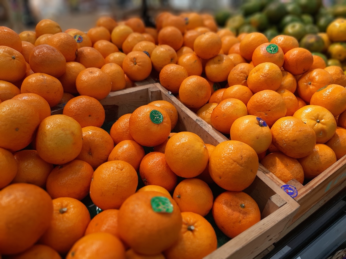 哪里可以买到23cm高、24cm长、20cm宽的小板橙？