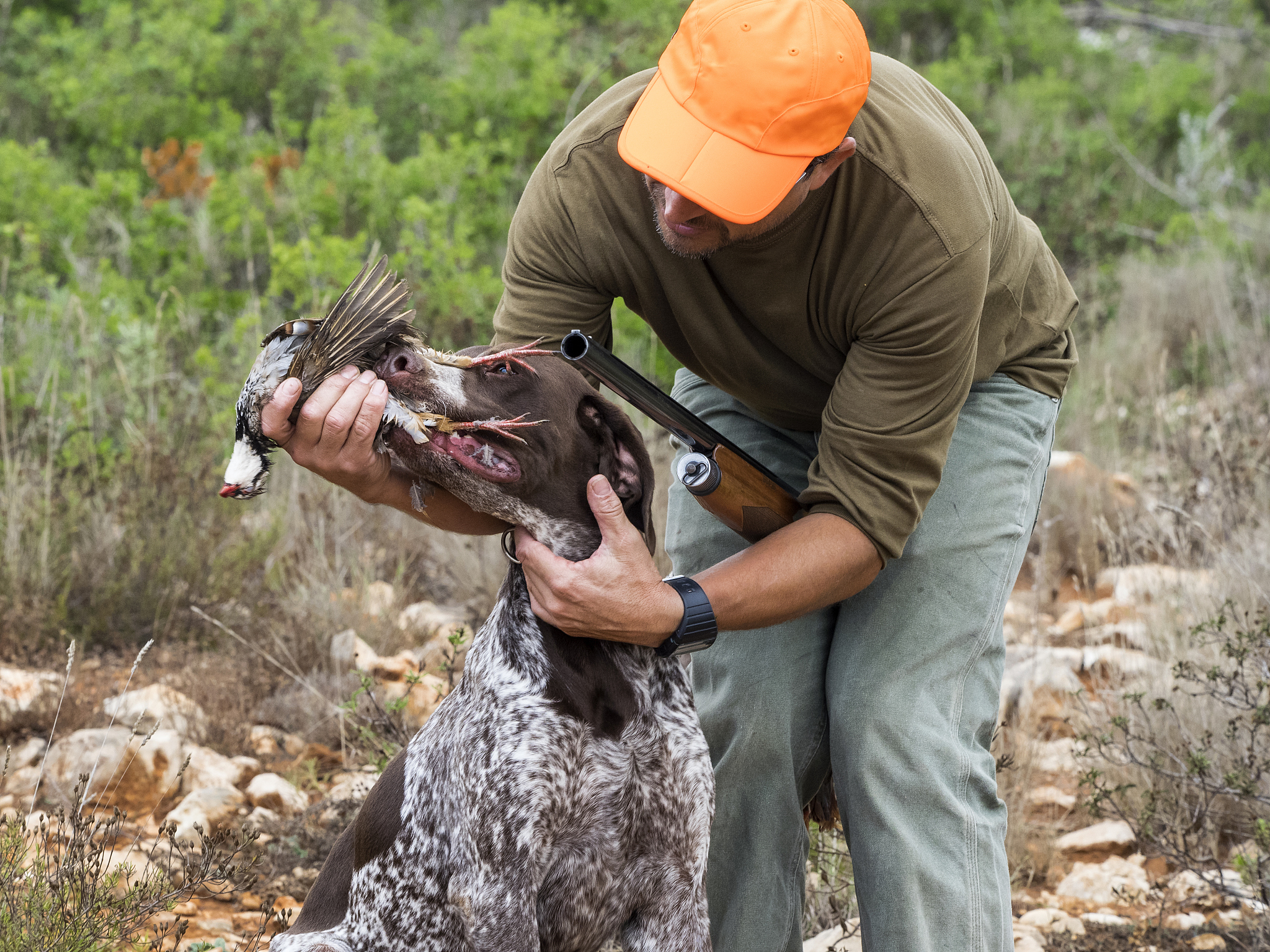 人类狩猎大型动物时期是什么时候？当时的人类叫什么