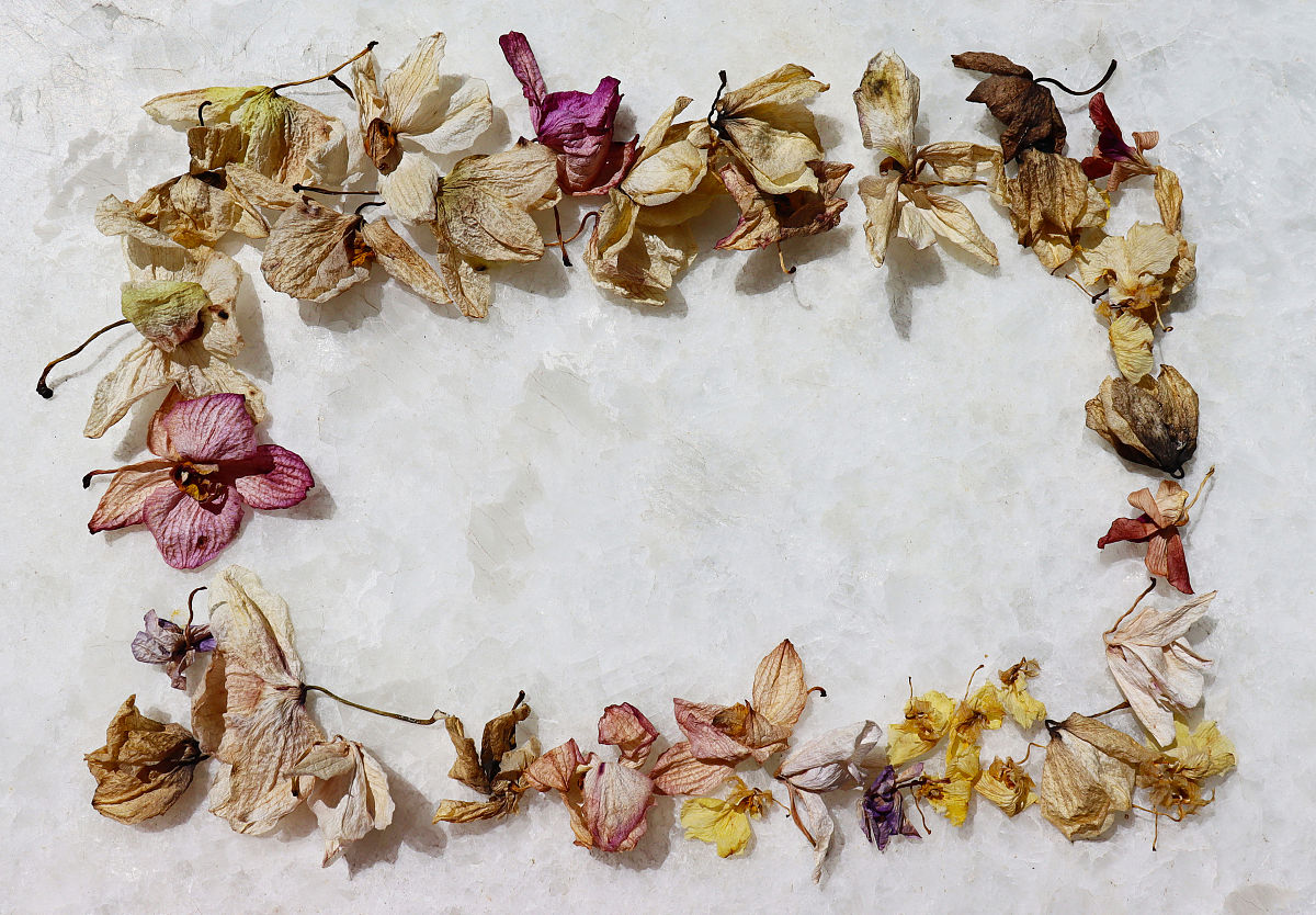 圆在矩形内判断方法 - 完整步骤及代码示例