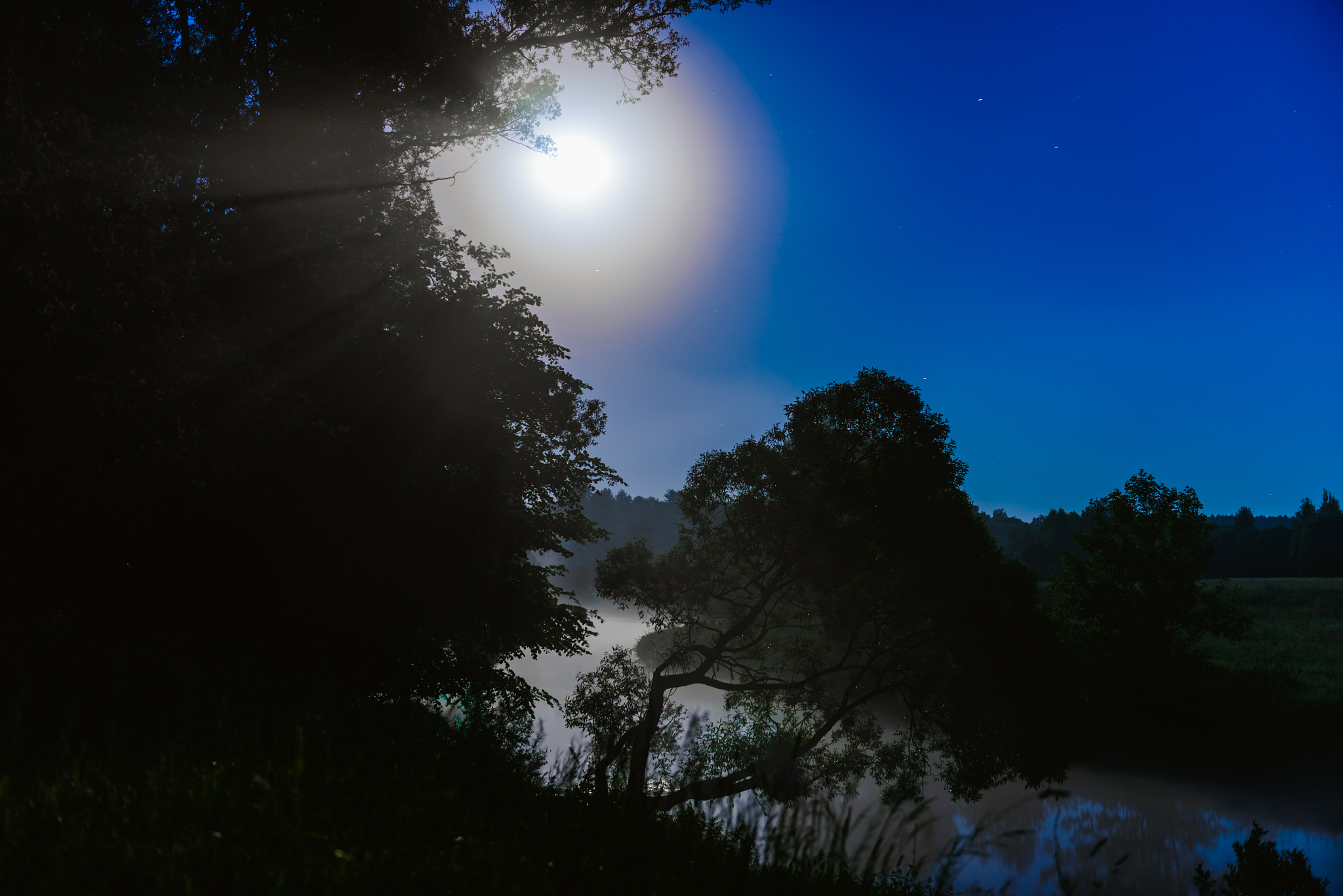 初夏夜空：宁静与活力