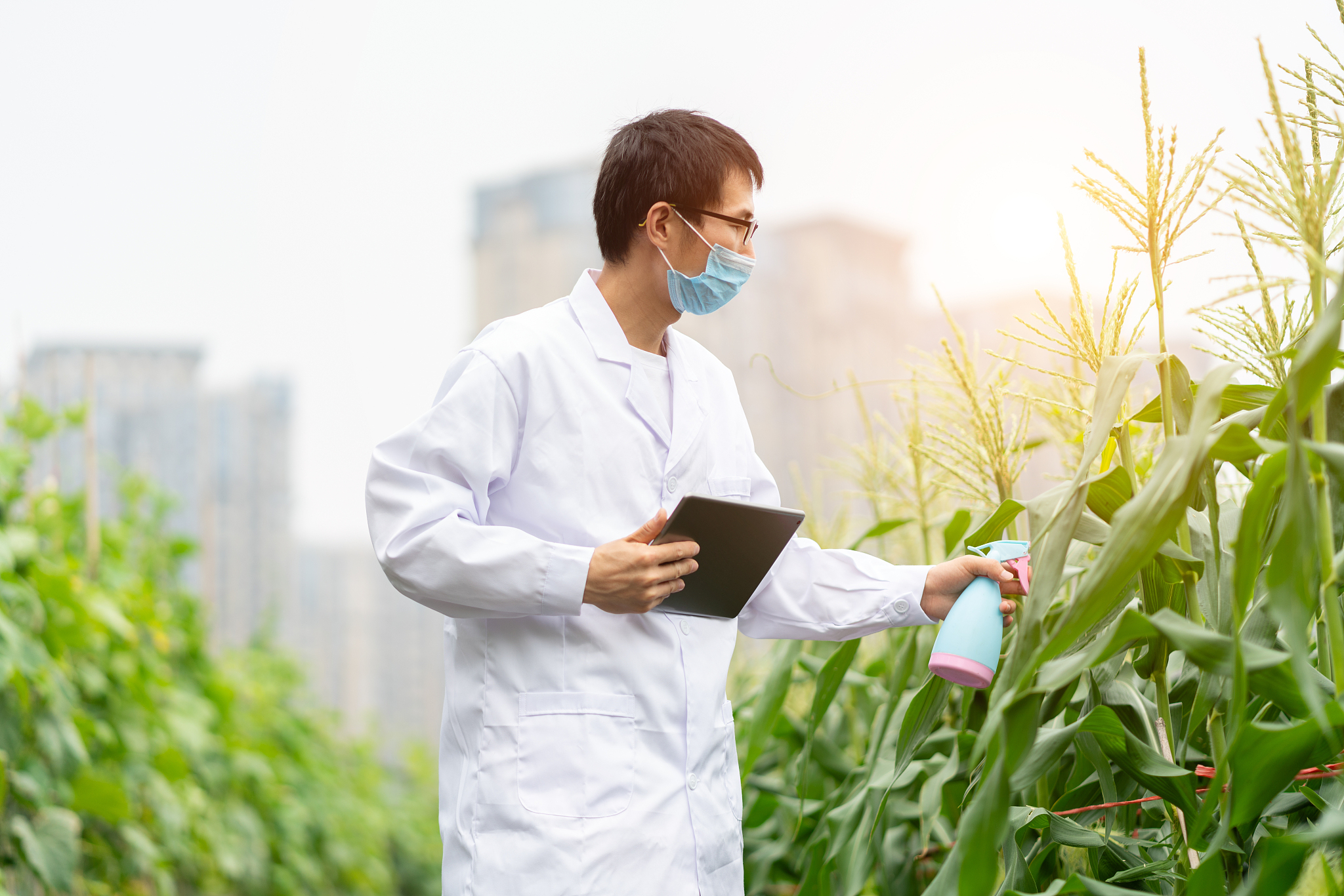 云南农业职业技术学校2019年五年一贯制大专重点专业