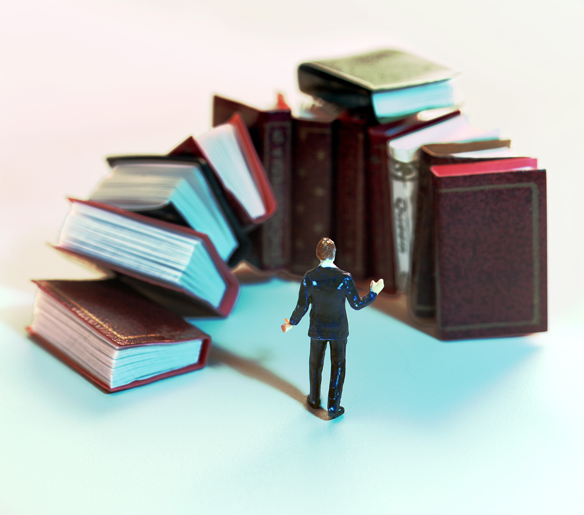 会计专业学生必修课程：《经济法学》与《微观经济学》知识解析