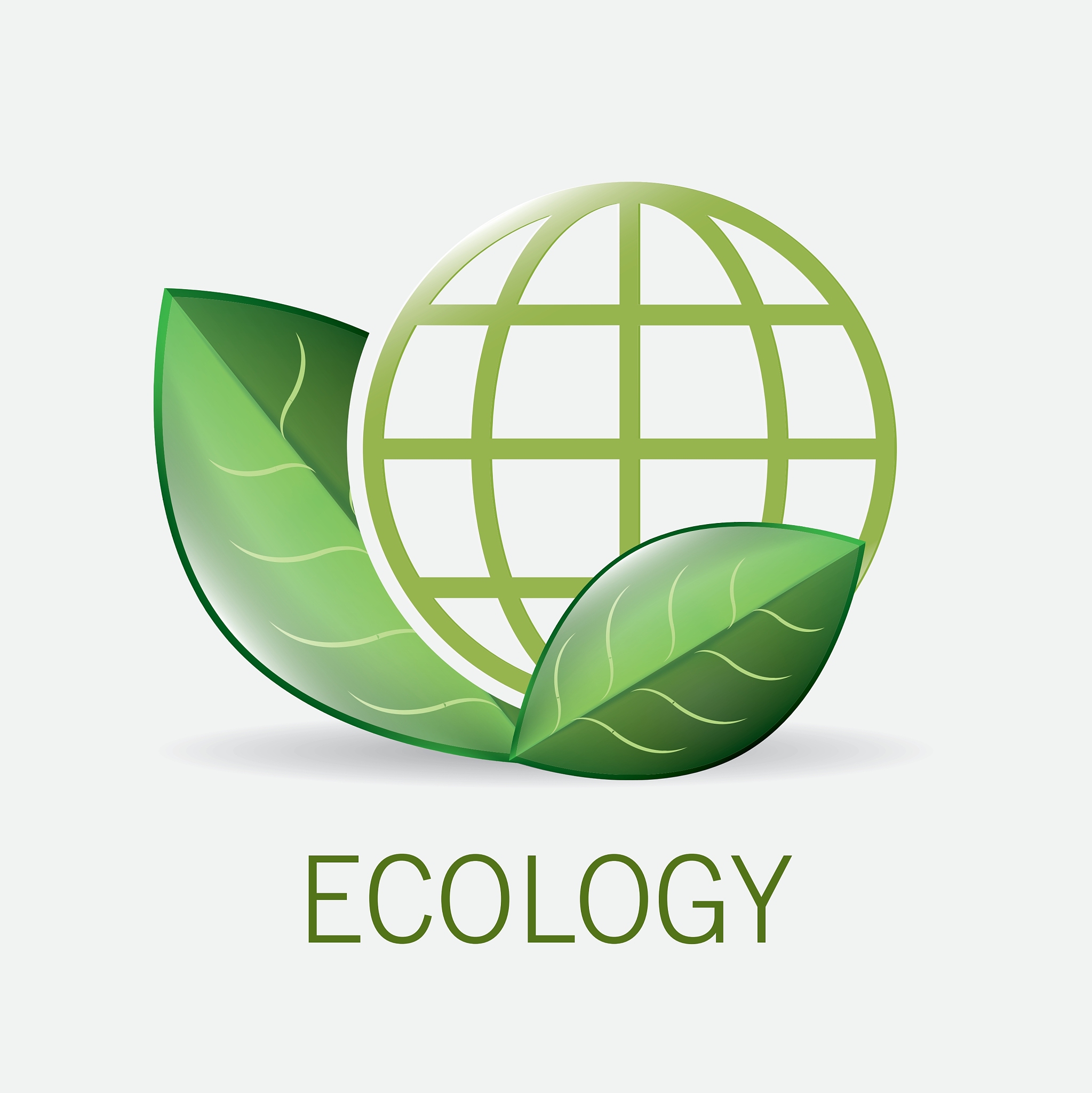 ecocity design