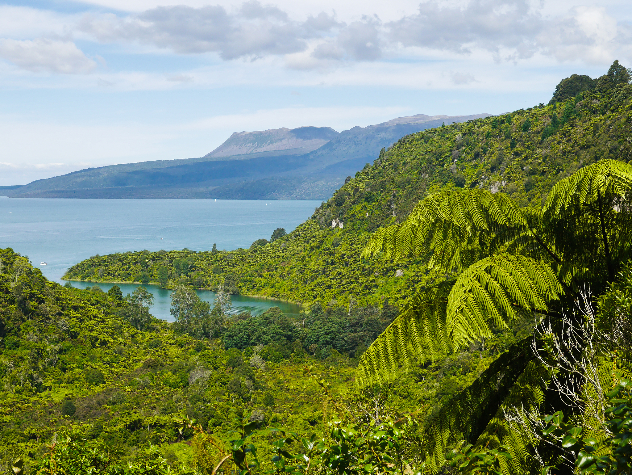 Immerse Yourself in Nature's Breathtaking Beauty: Explore Majestic Landscapes & Tranquil Scenes