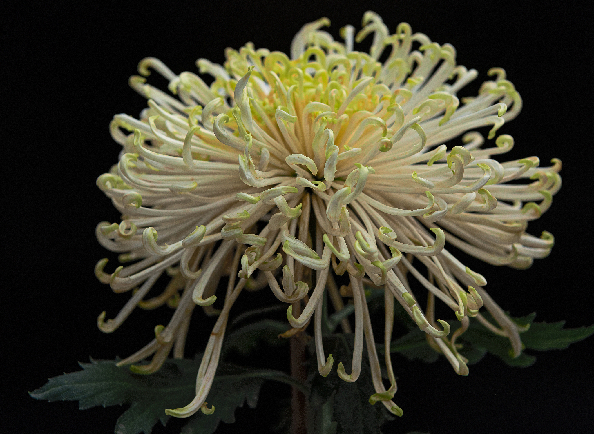 汕头7日游行程安排：景点、美食、住宿全攻略