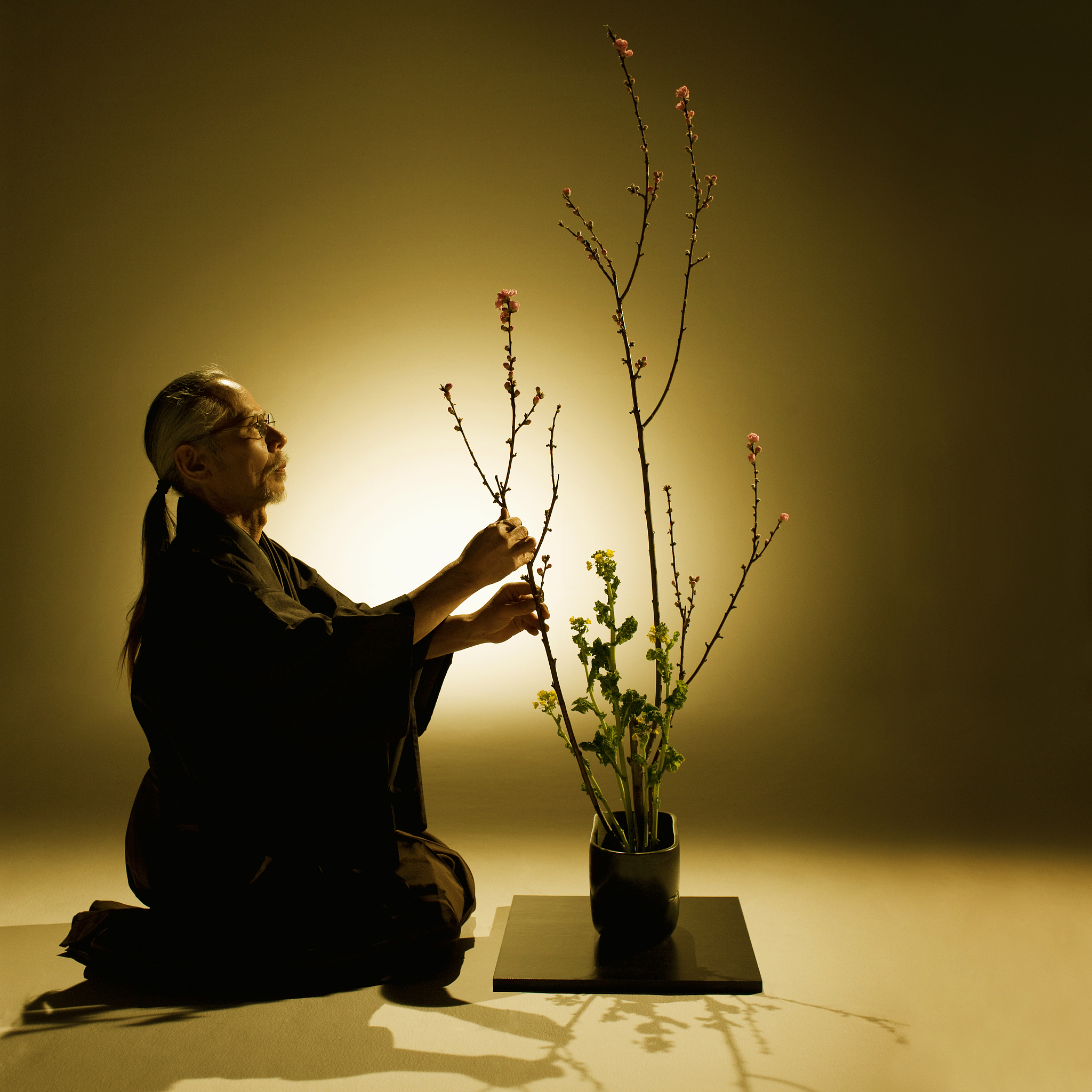 禅道新手教程：如何开始研发需求？