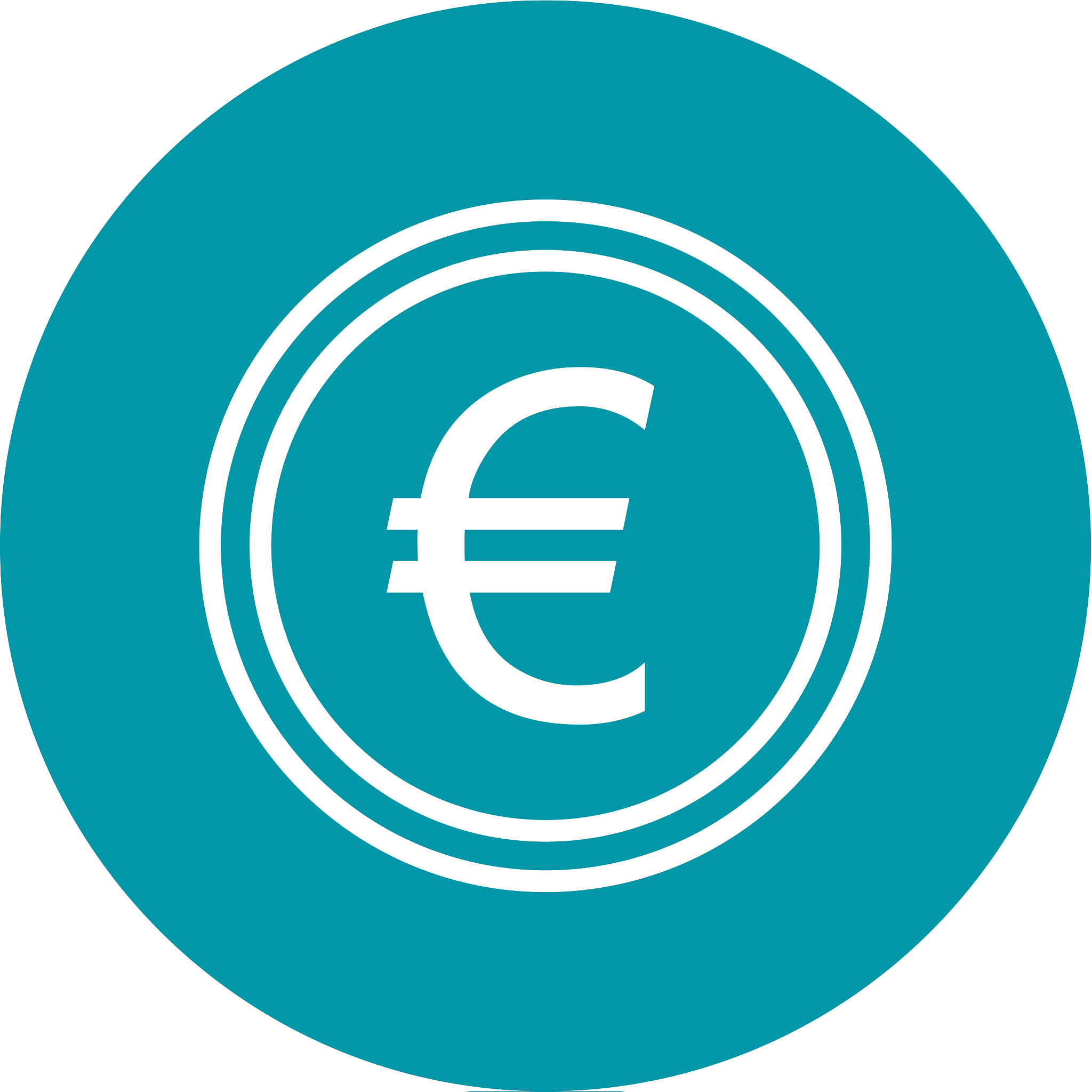 euro icon