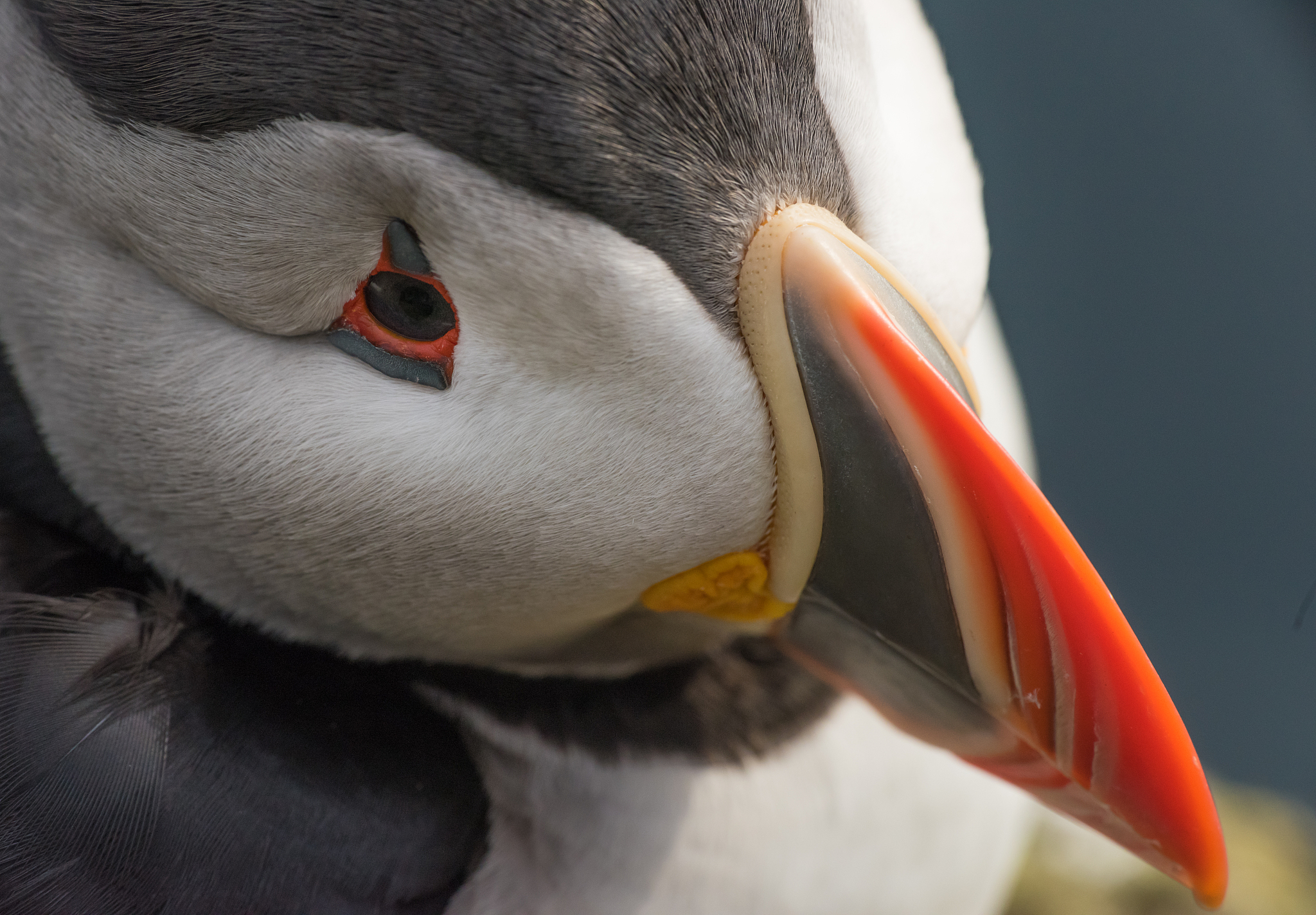 收敛边边角角的进行收费怎么表述出高度