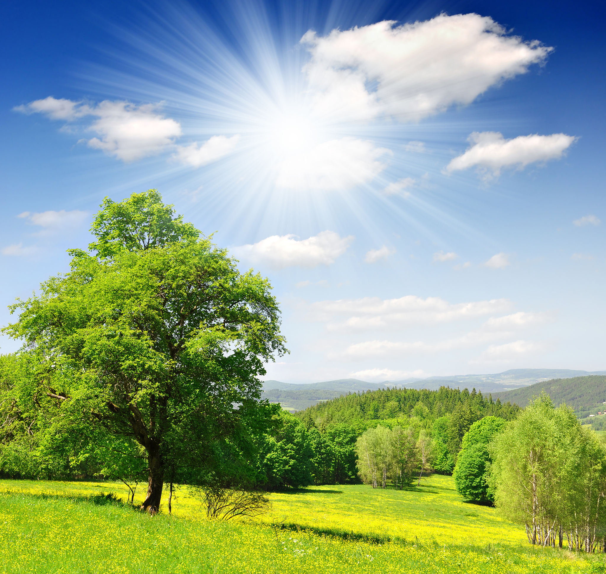 写一篇语言优美华丽的记叙文