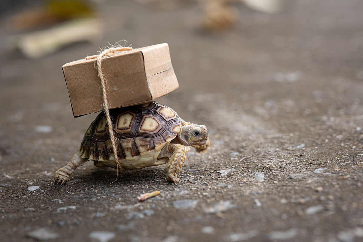 滨州职业学院港口与航运管理专业就业方向有哪些