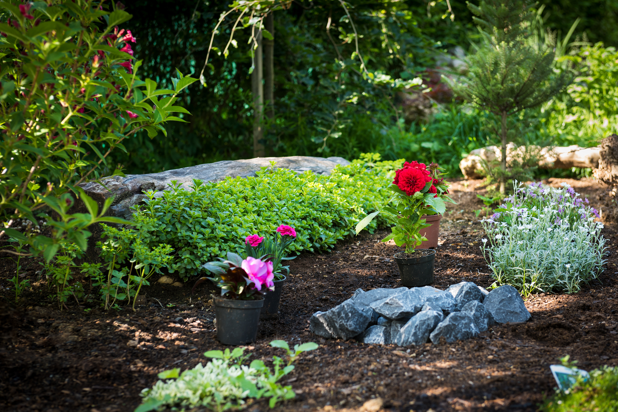 河南林业职业学院园艺技术专业怎么样