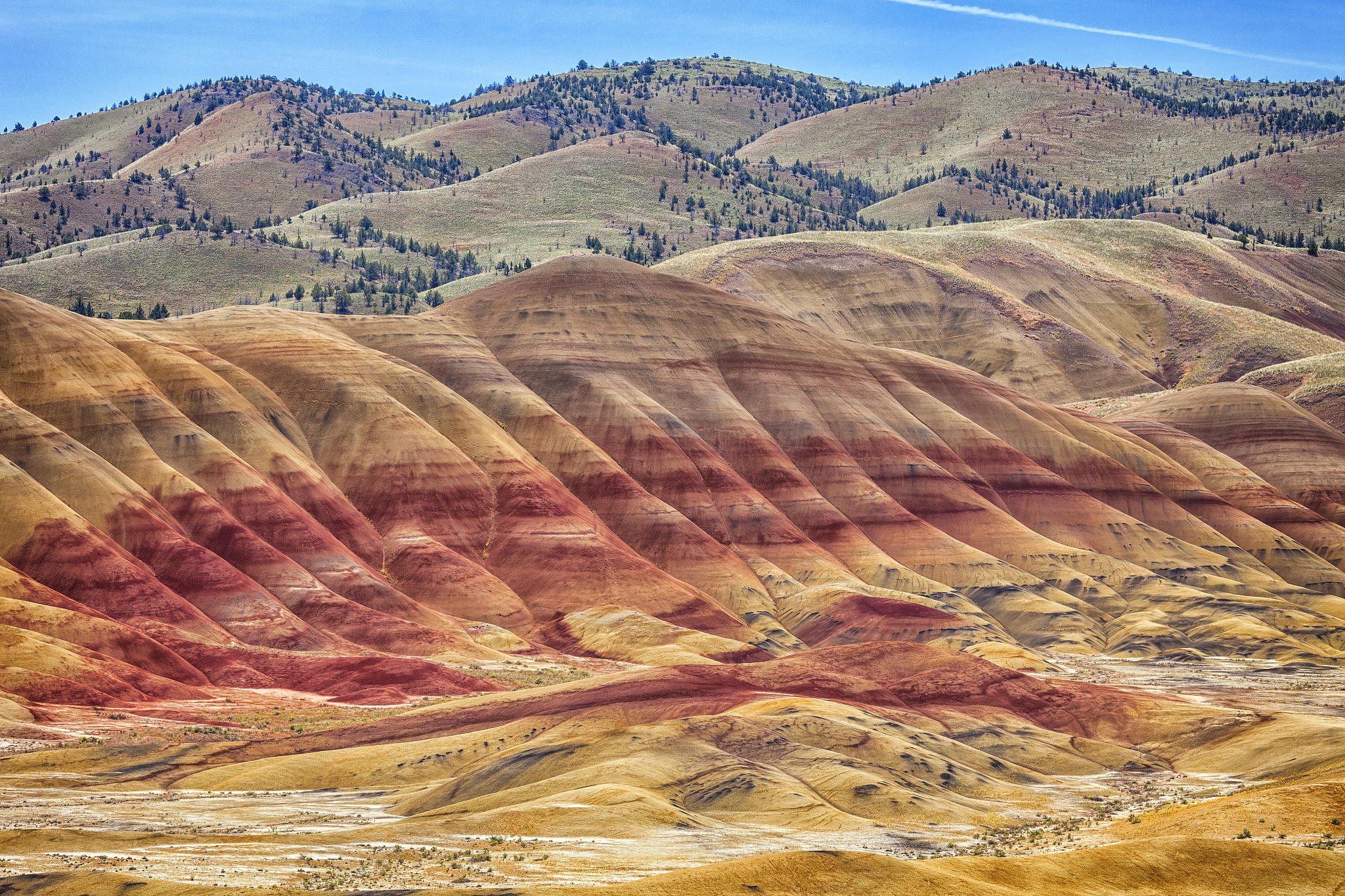 painted hills