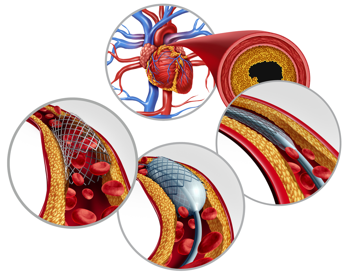 构建具有胆管树网络的功能性导管器官：肝脏再生医学的新突破