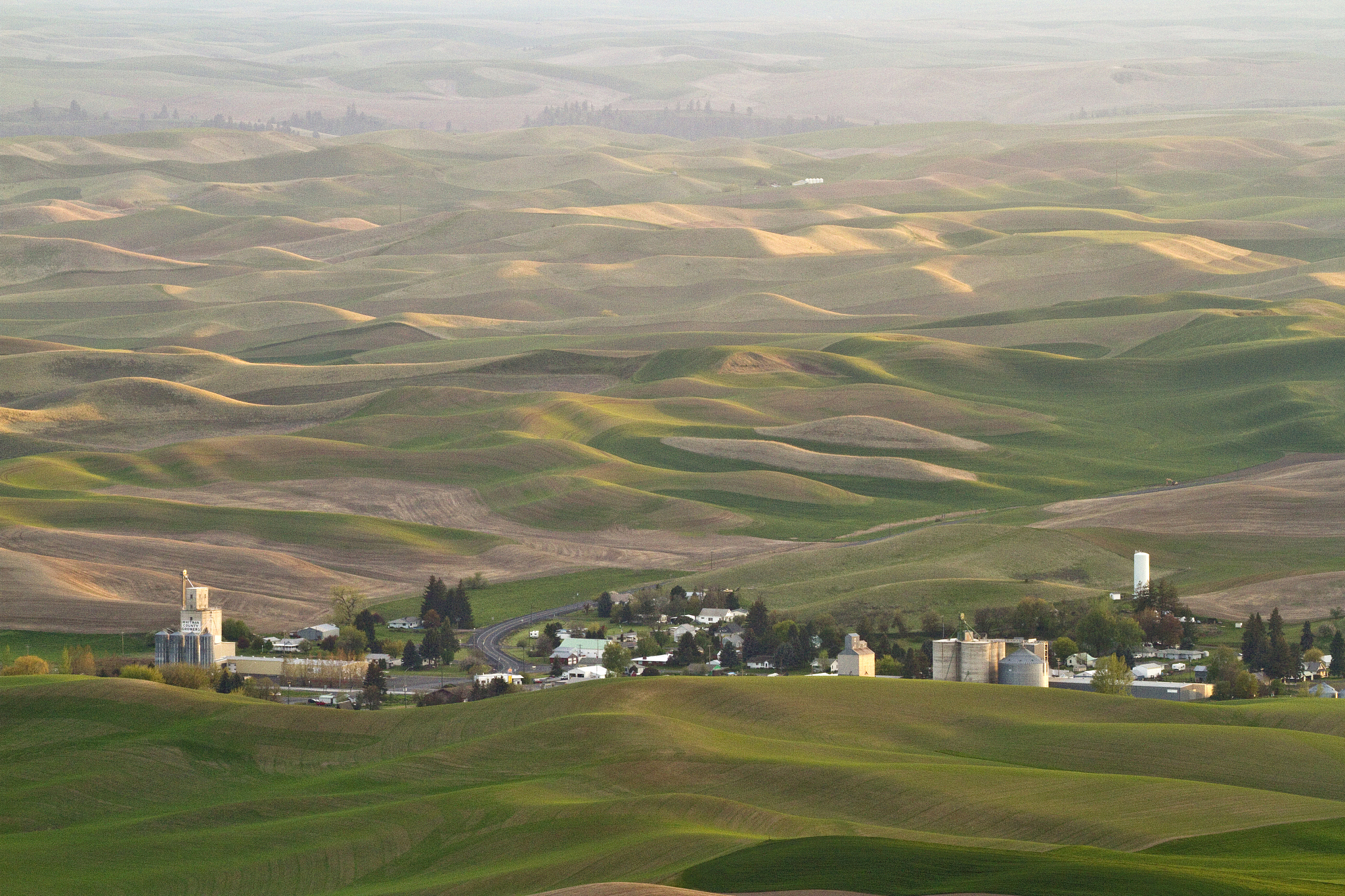 view of the palouse from summit of steptoe butte, washington, us