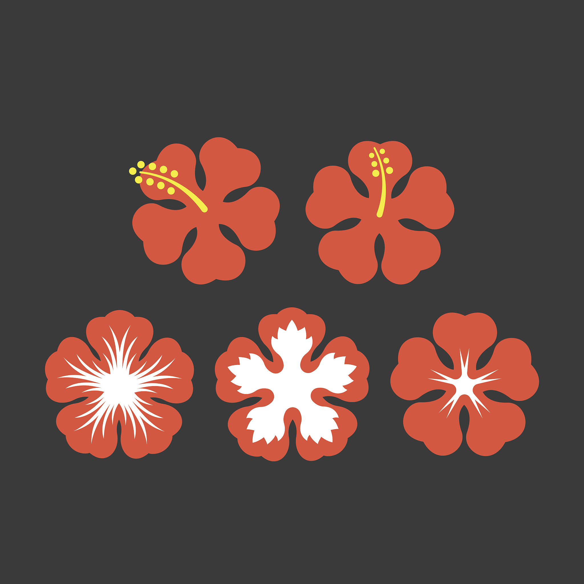 夏威夷大火废墟：神秘的X字样